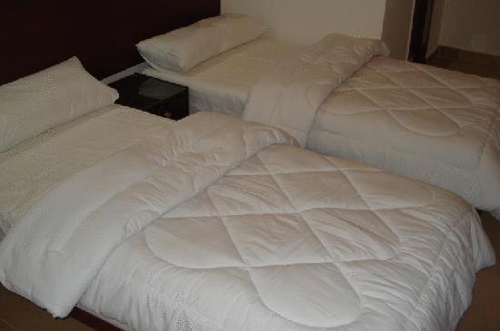 Standard Triple Room - Photo 1