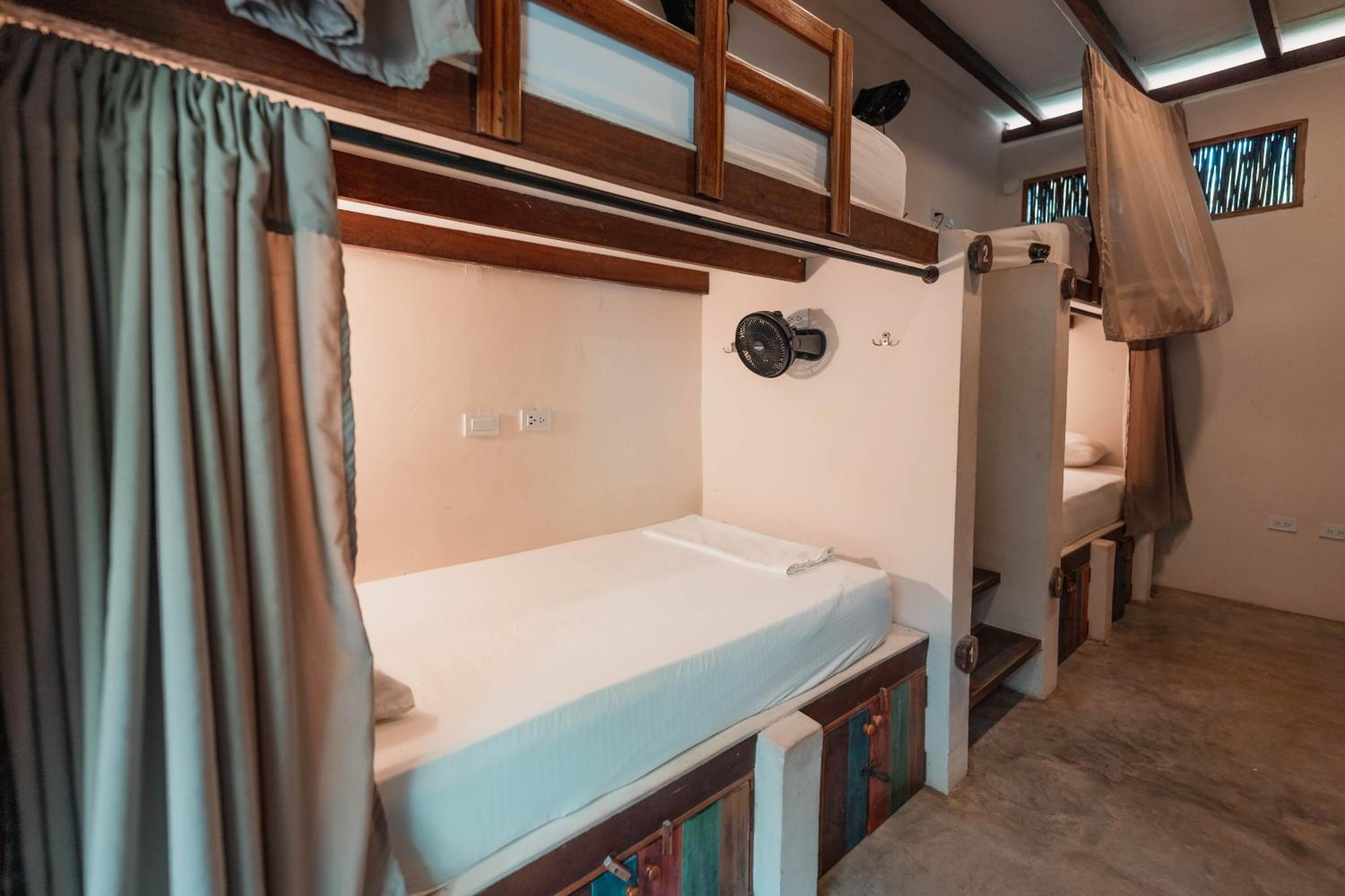 Single Bed in Female Dormitory Room photo 1