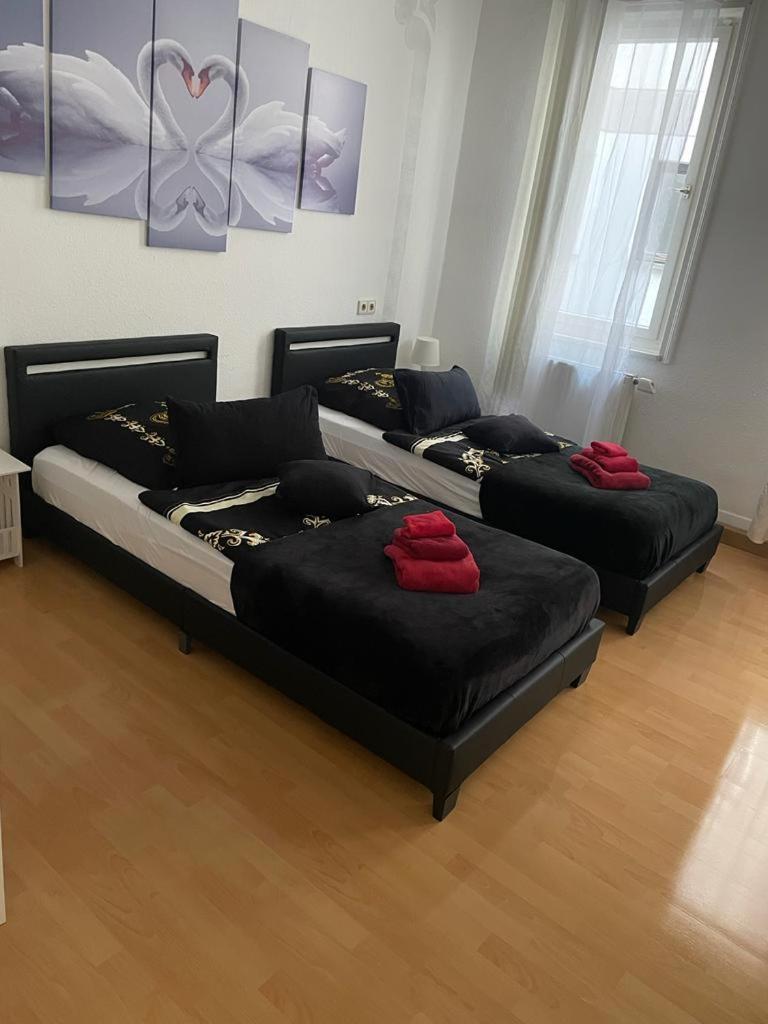 Apartment with Garden View photo 3