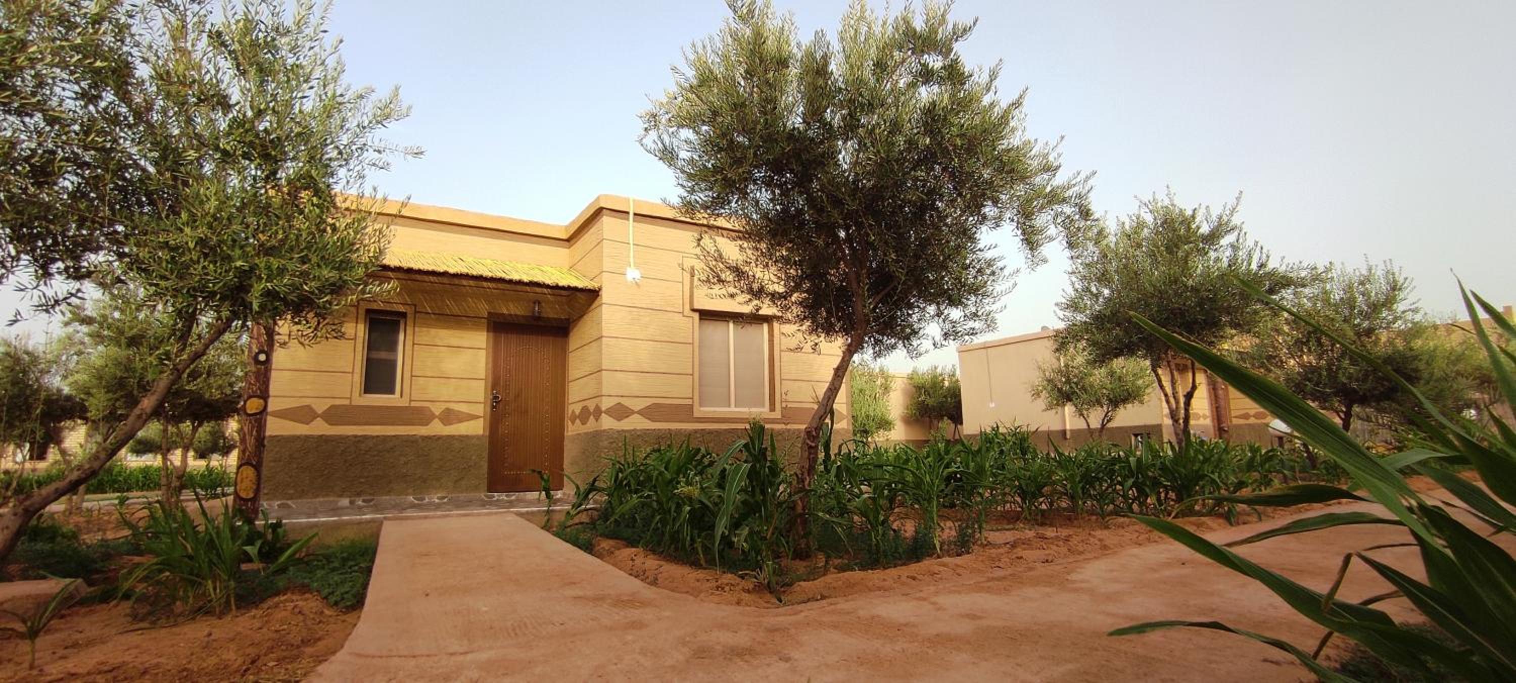 Two-Bedroom Bungalow - Photo 8