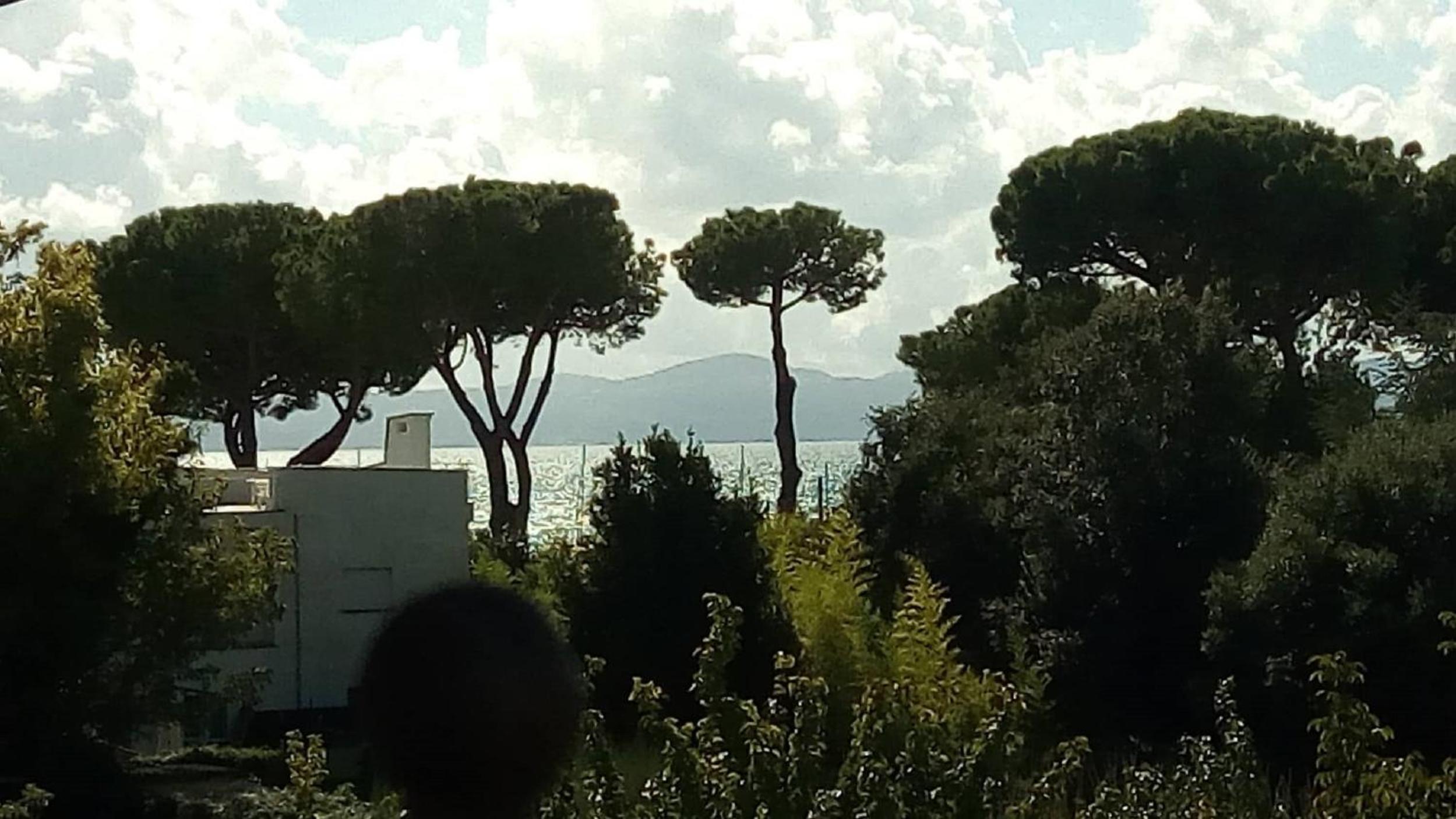 Apartment with Lake View - Photo 6