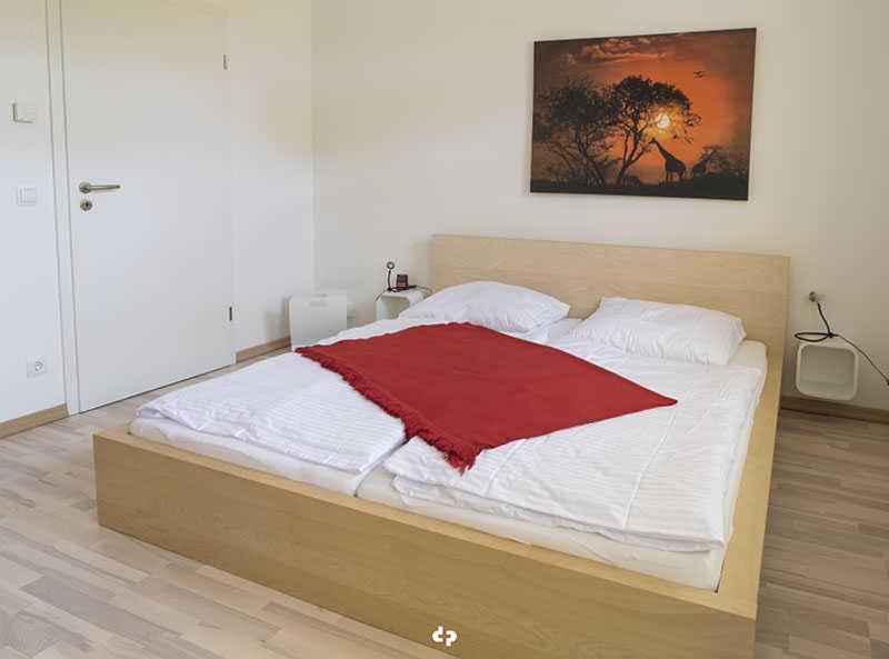 One-Bedroom Apartment with Terrace photo 1