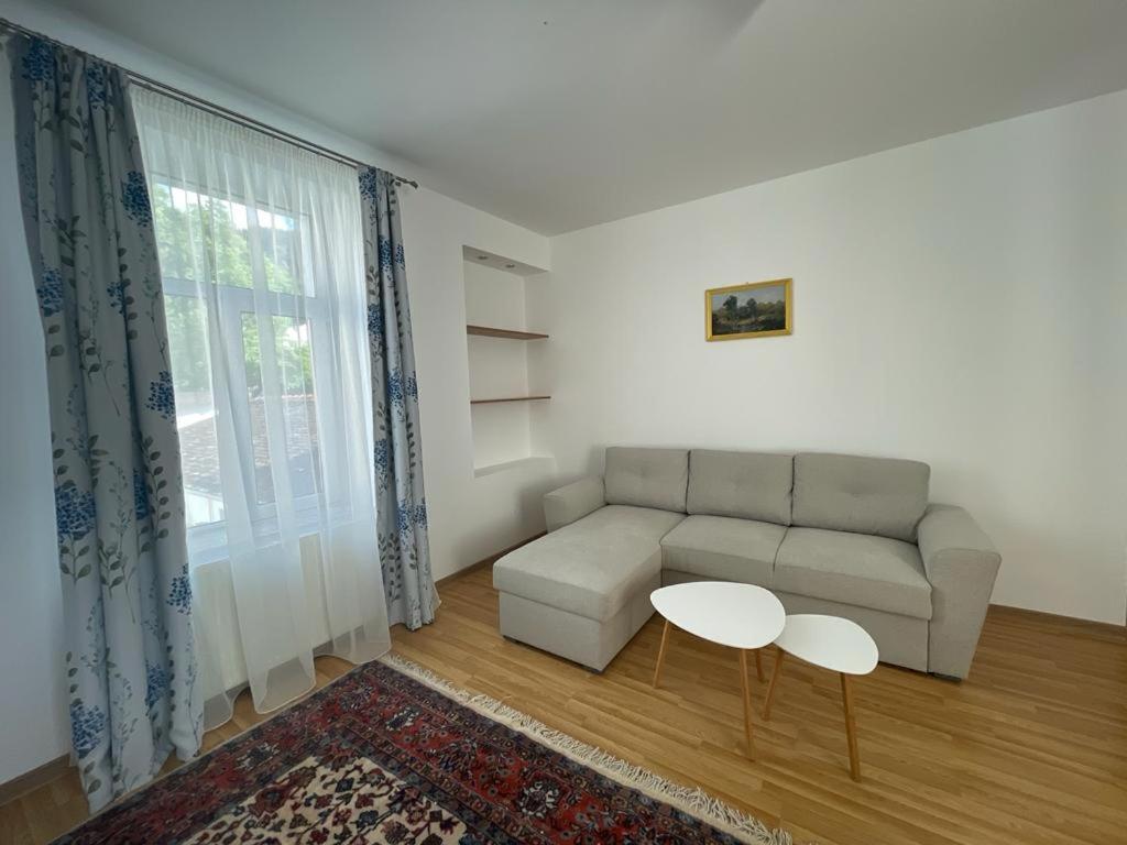 Apartment with Mountain View