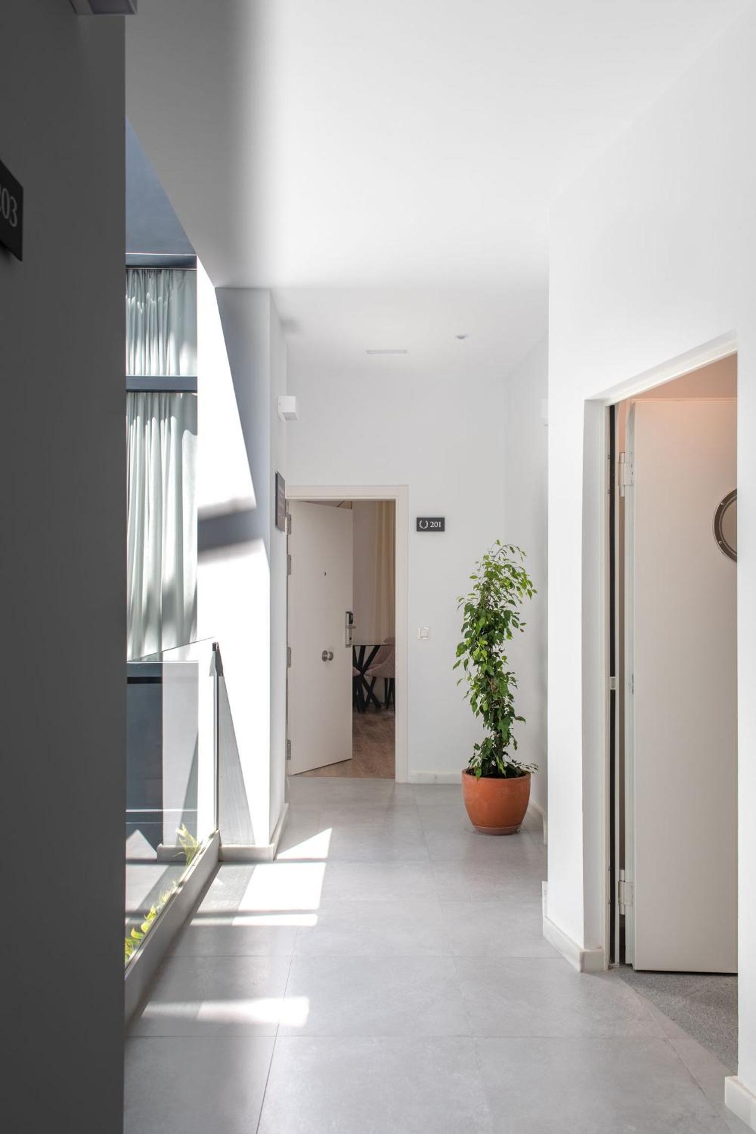 Studio with Terrace photo 3