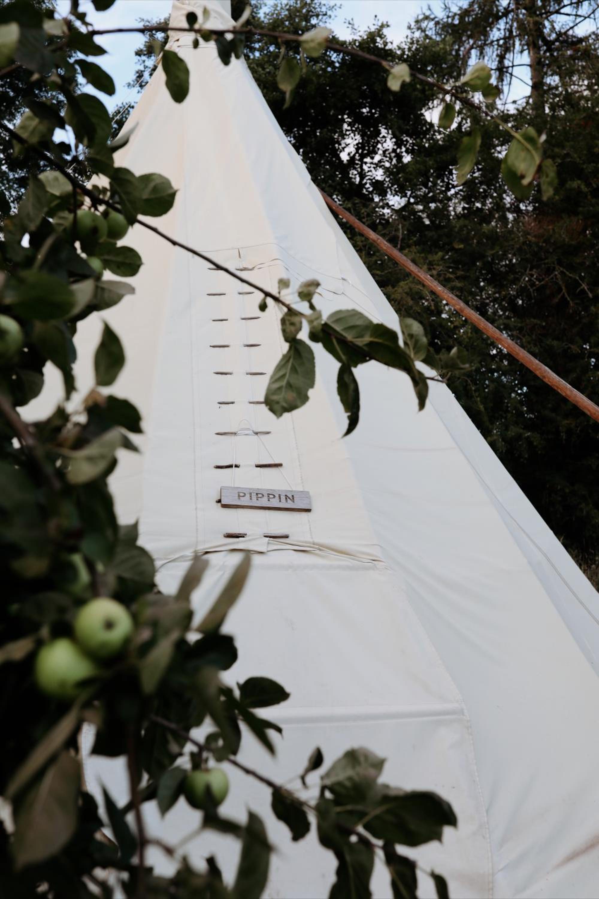 Tent photo 2