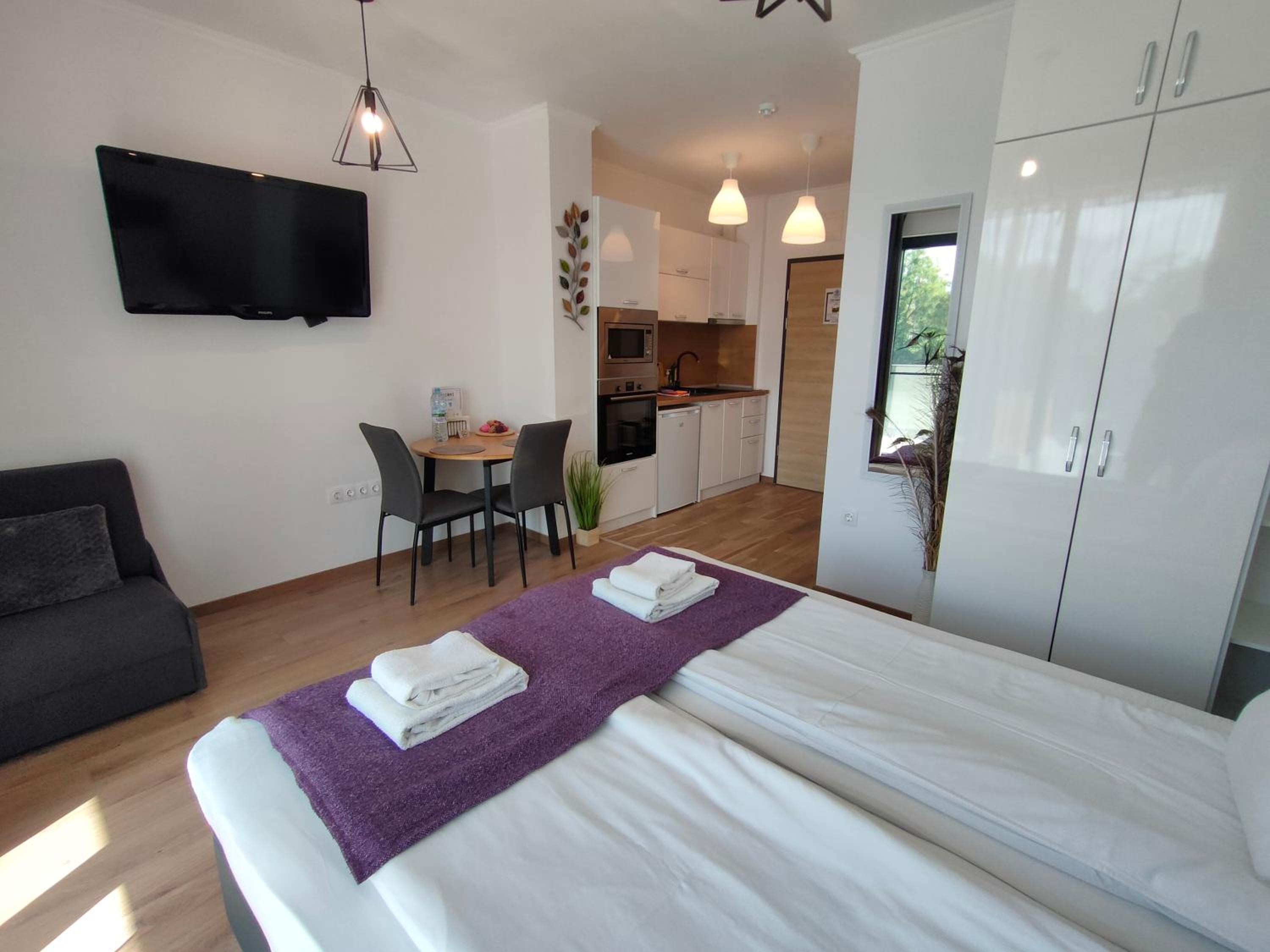 King Studio with Sofa Bed - Photo 8