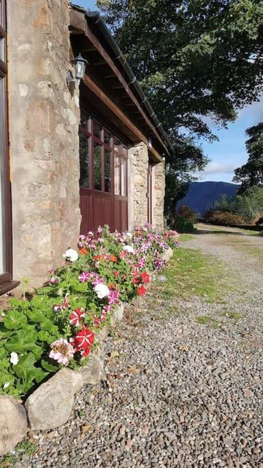Studio with Mountain View photo 2