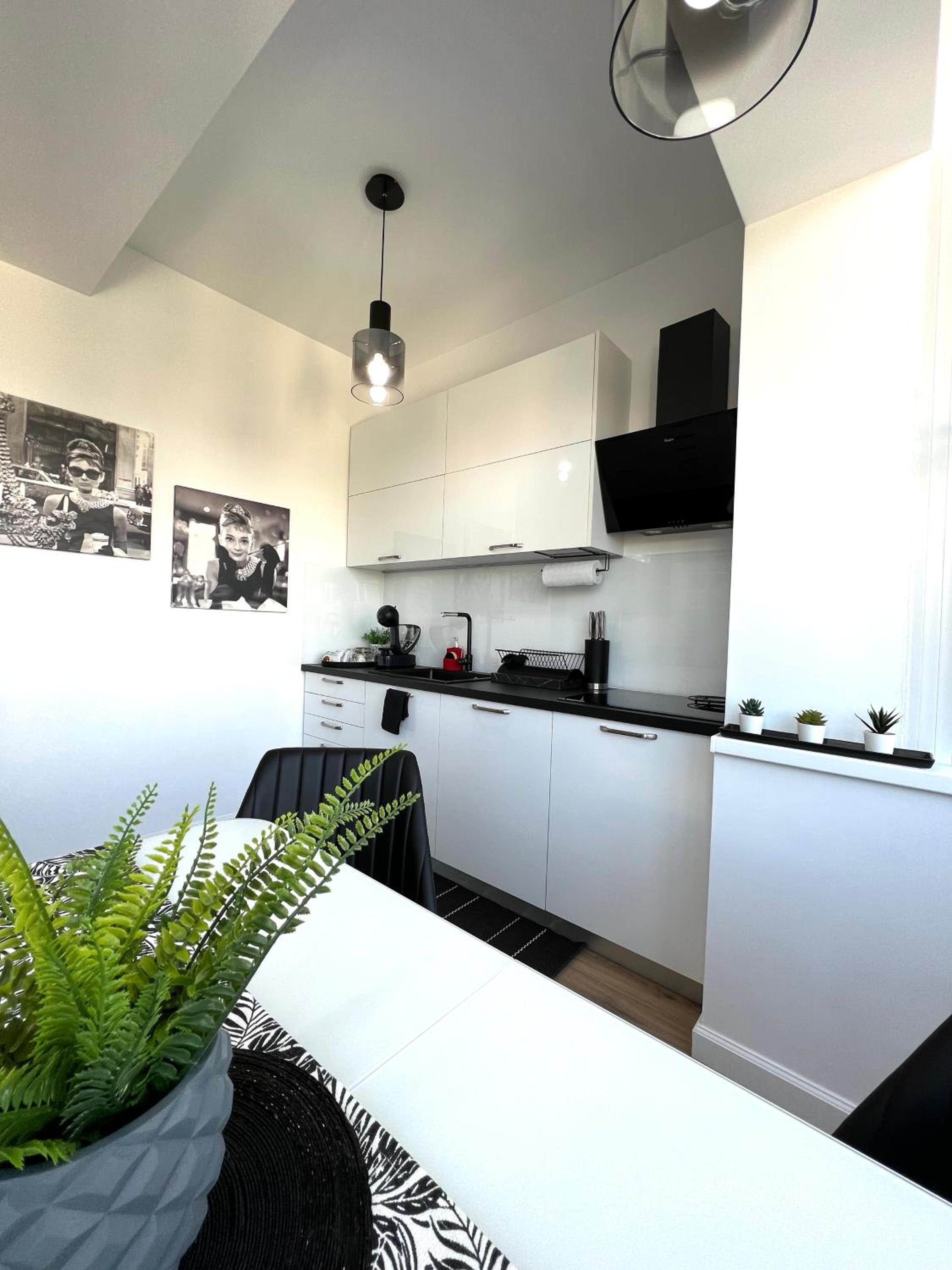 Superior Apartment - Photo 19