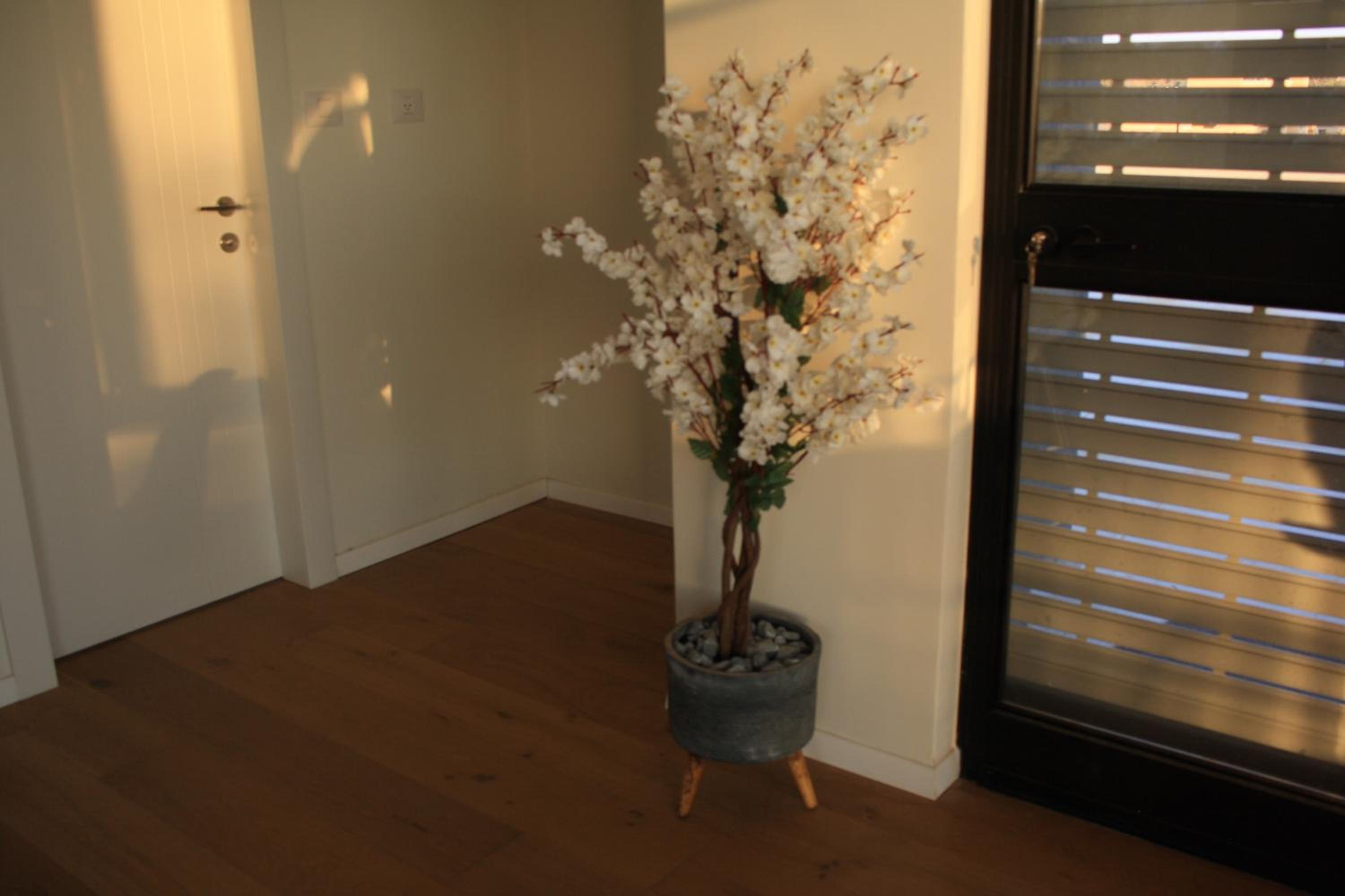 One-Bedroom House - Photo 10