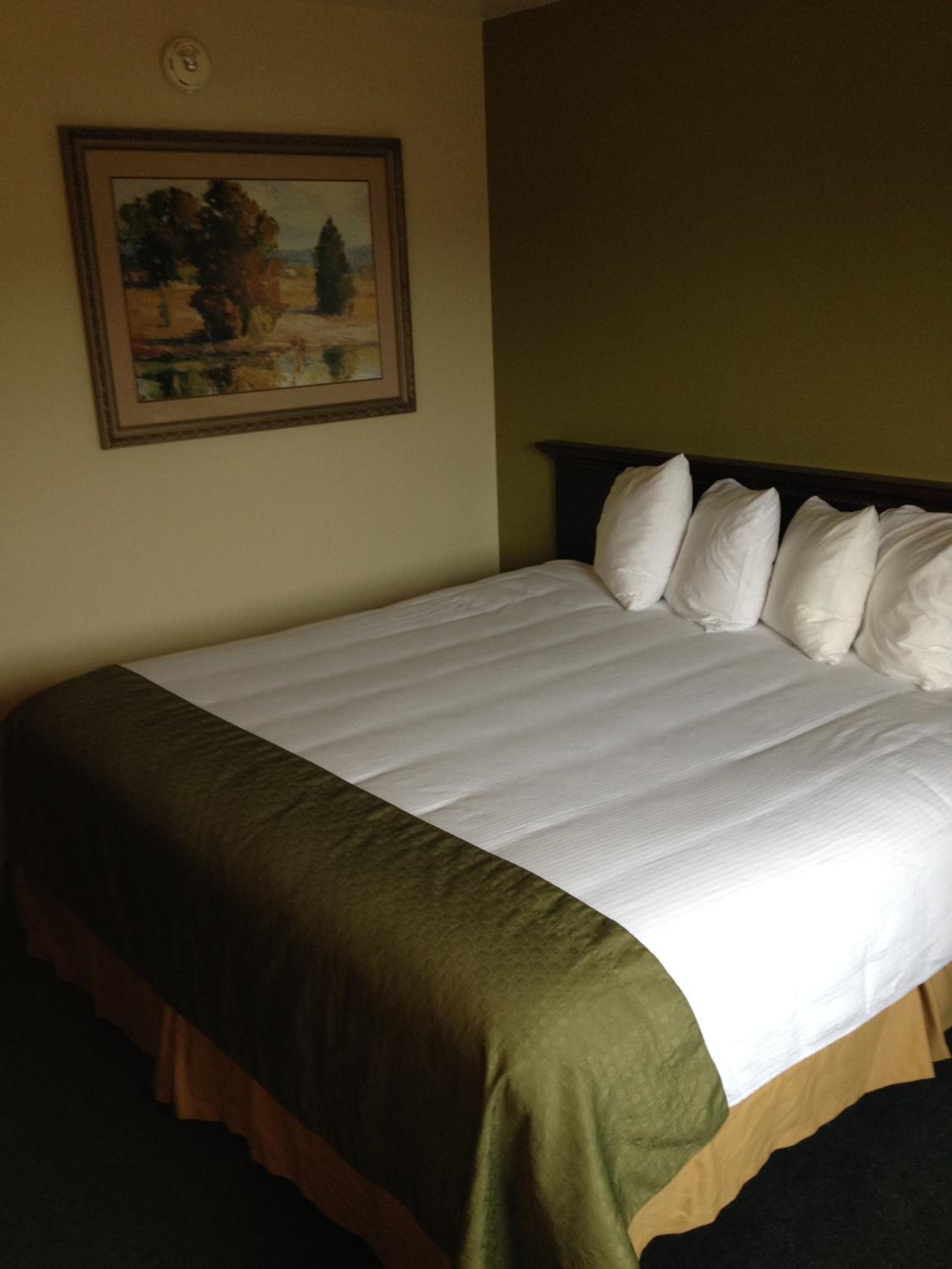 Studio Suite with 1 King Bed, Non-Smoking - Photo 1