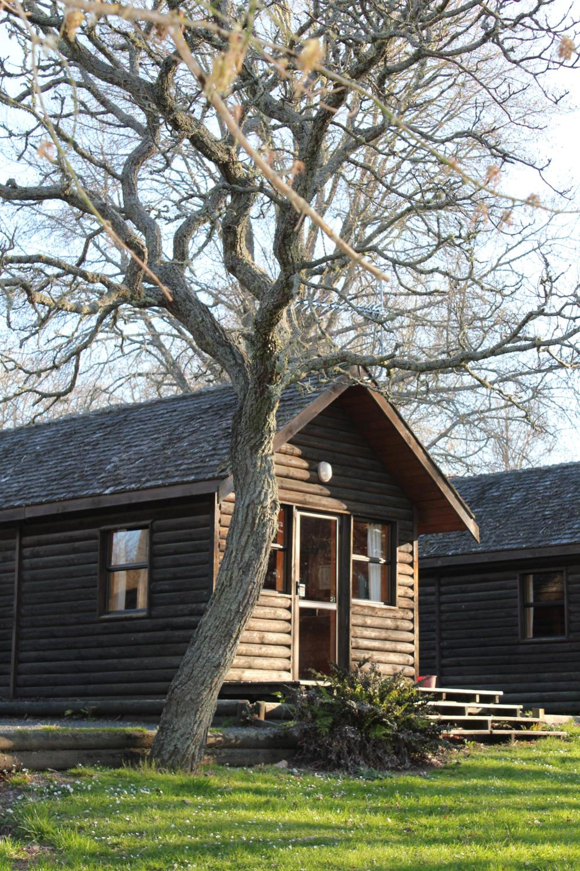 Log Cabin with Private Ensuite Bathroom and Kitchenette