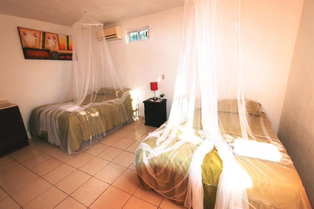 Twin Room photo 1