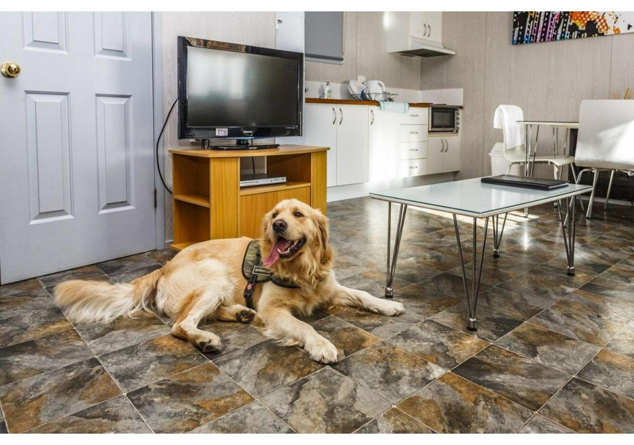 Standard Two-Bedroom Cabin - Sleep 5 - Pet Friendly photo 1