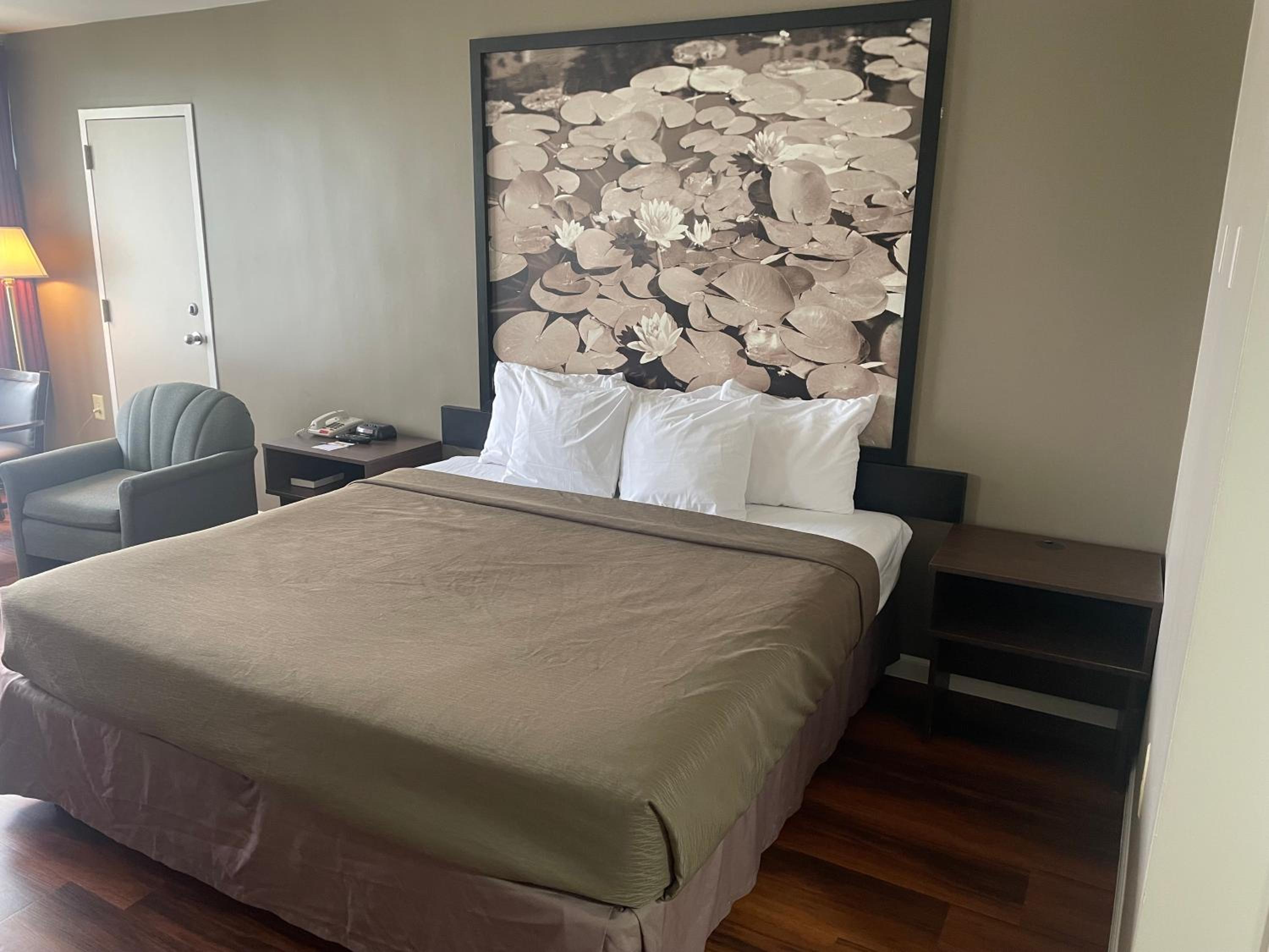 King Room - Non-Smoking - Photo 4
