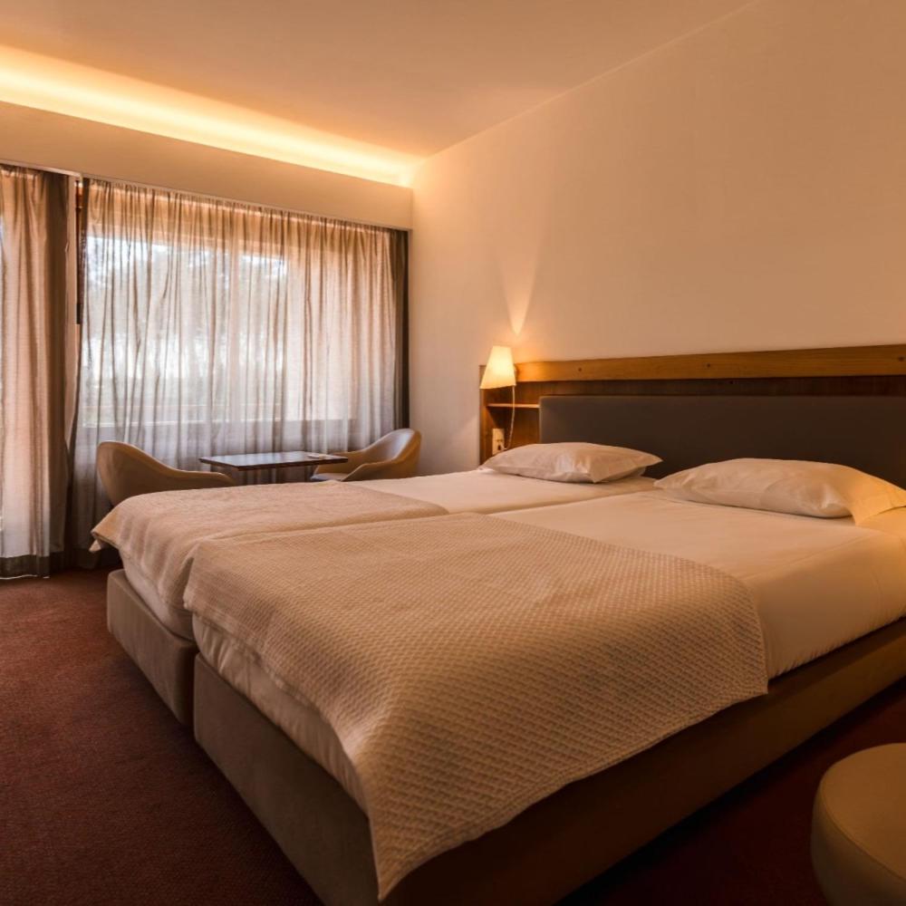 Standard Double or Twin Room with Garden View