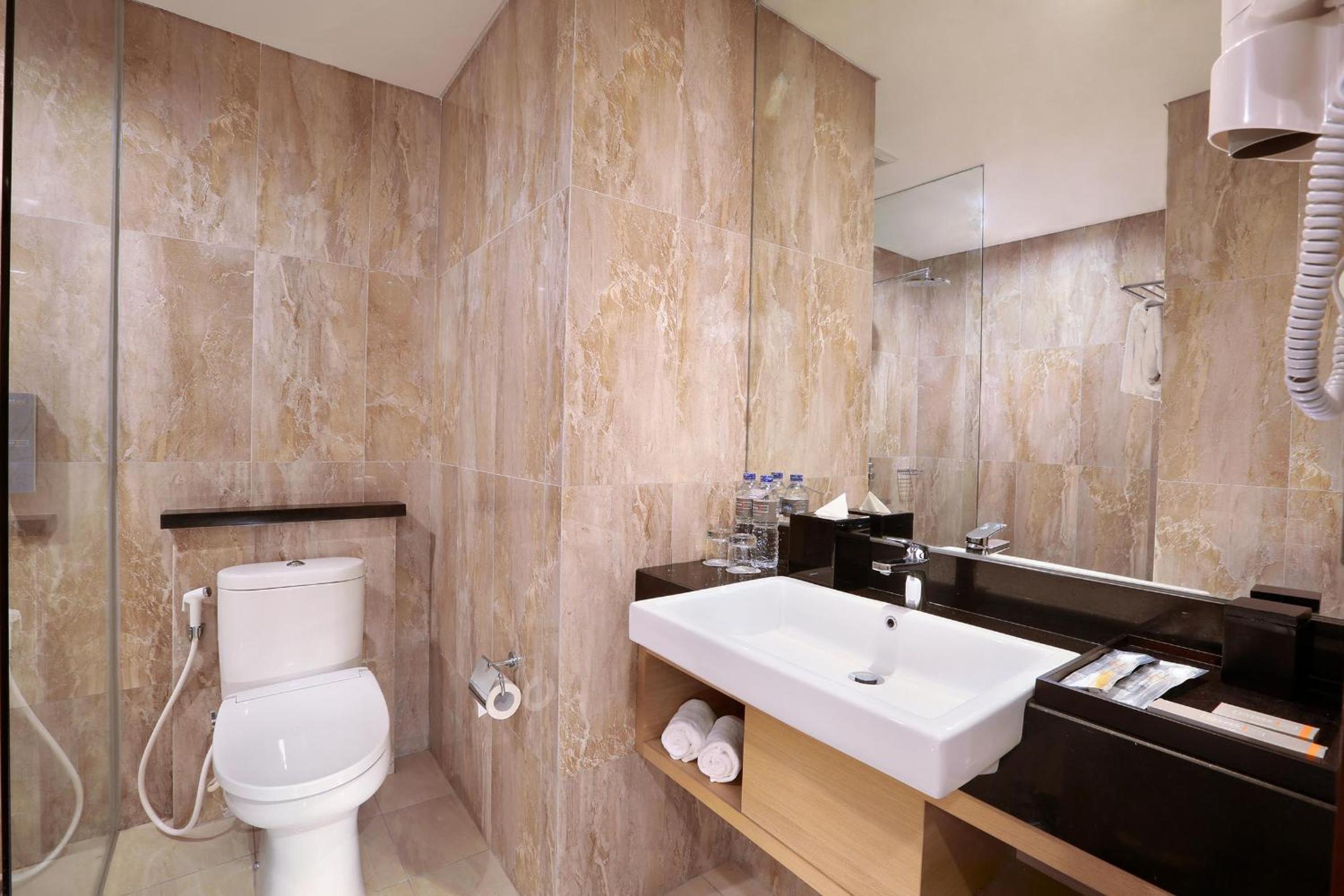 Deluxe Double Room photo 2