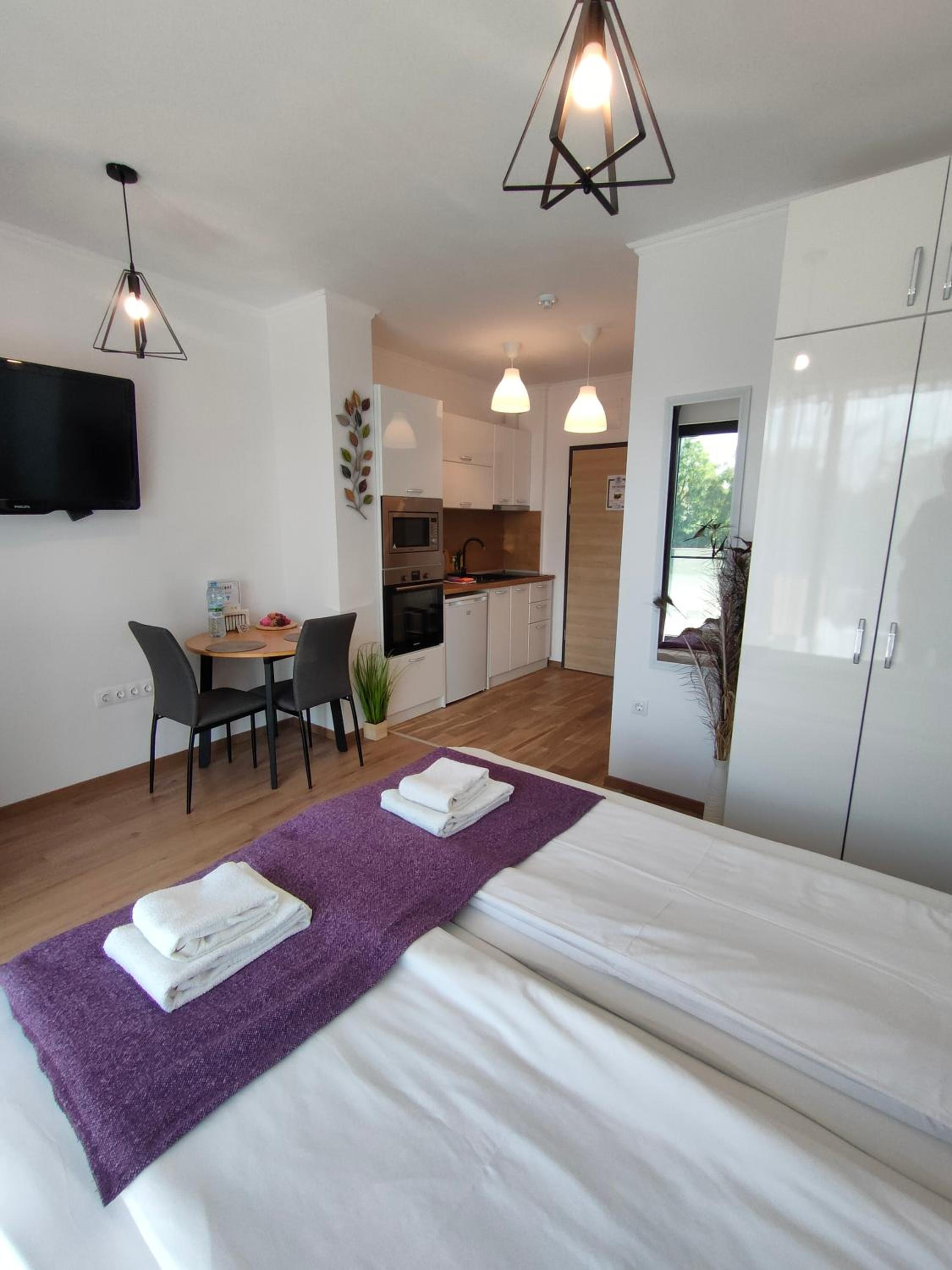 King Studio with Sofa Bed - Photo 9