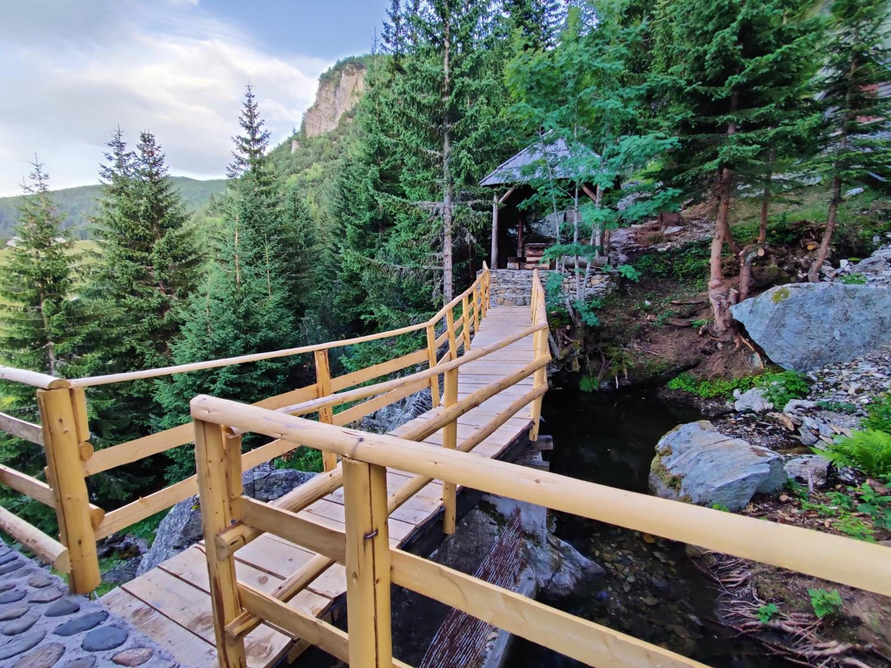 Vacation Home photo 3