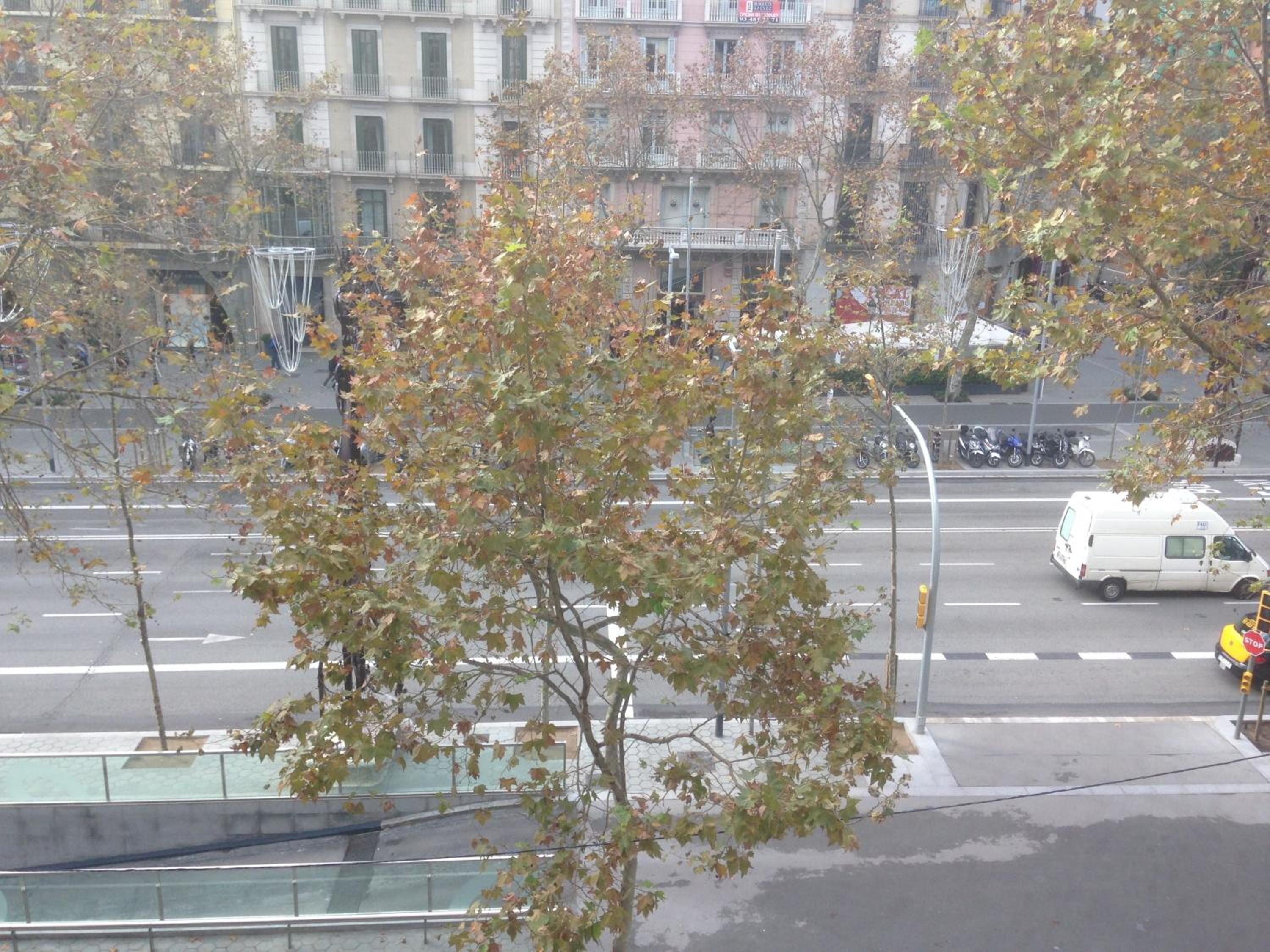 Double Room With City View photo 3