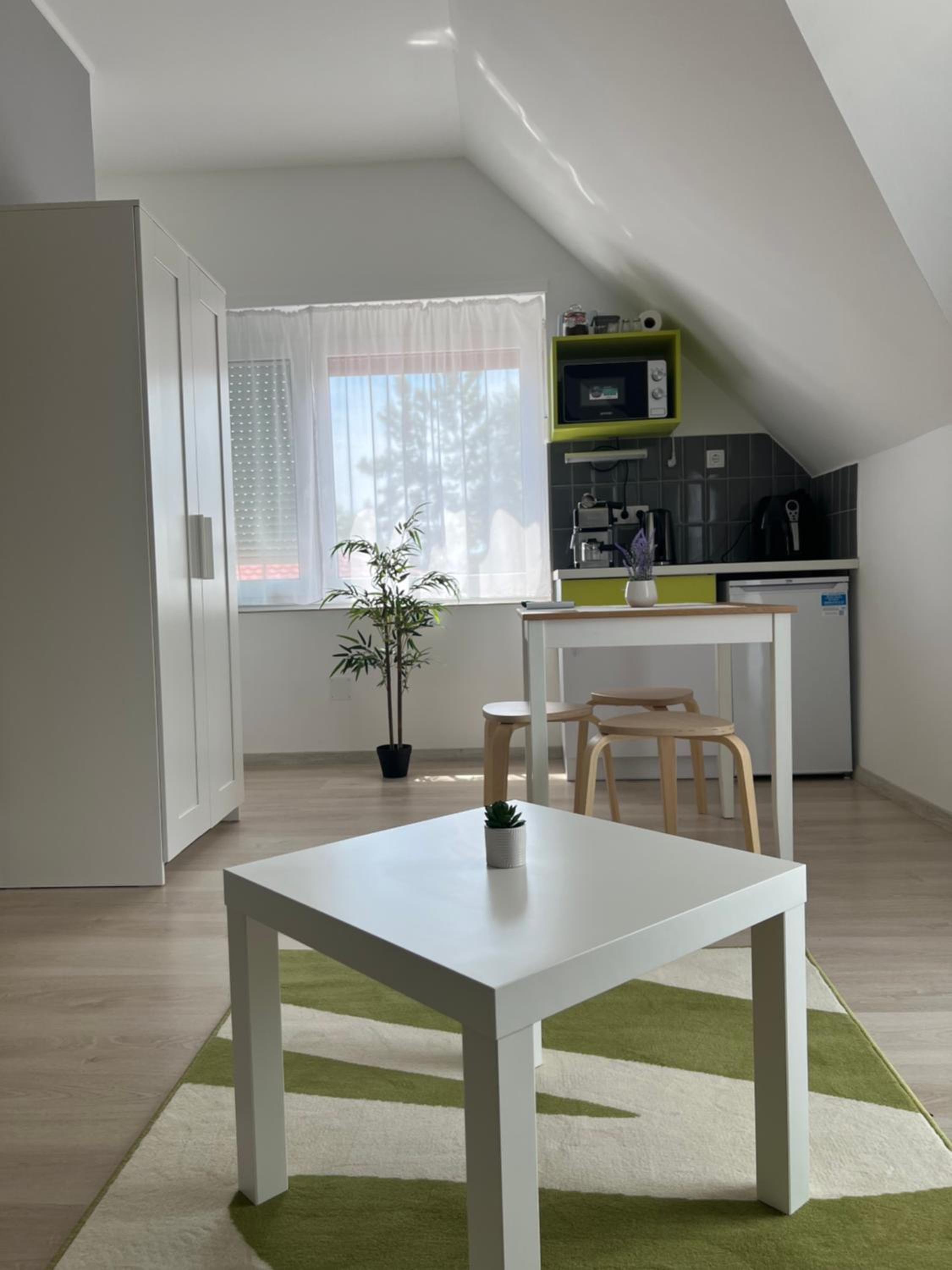 Apartment with Terrace photo 2