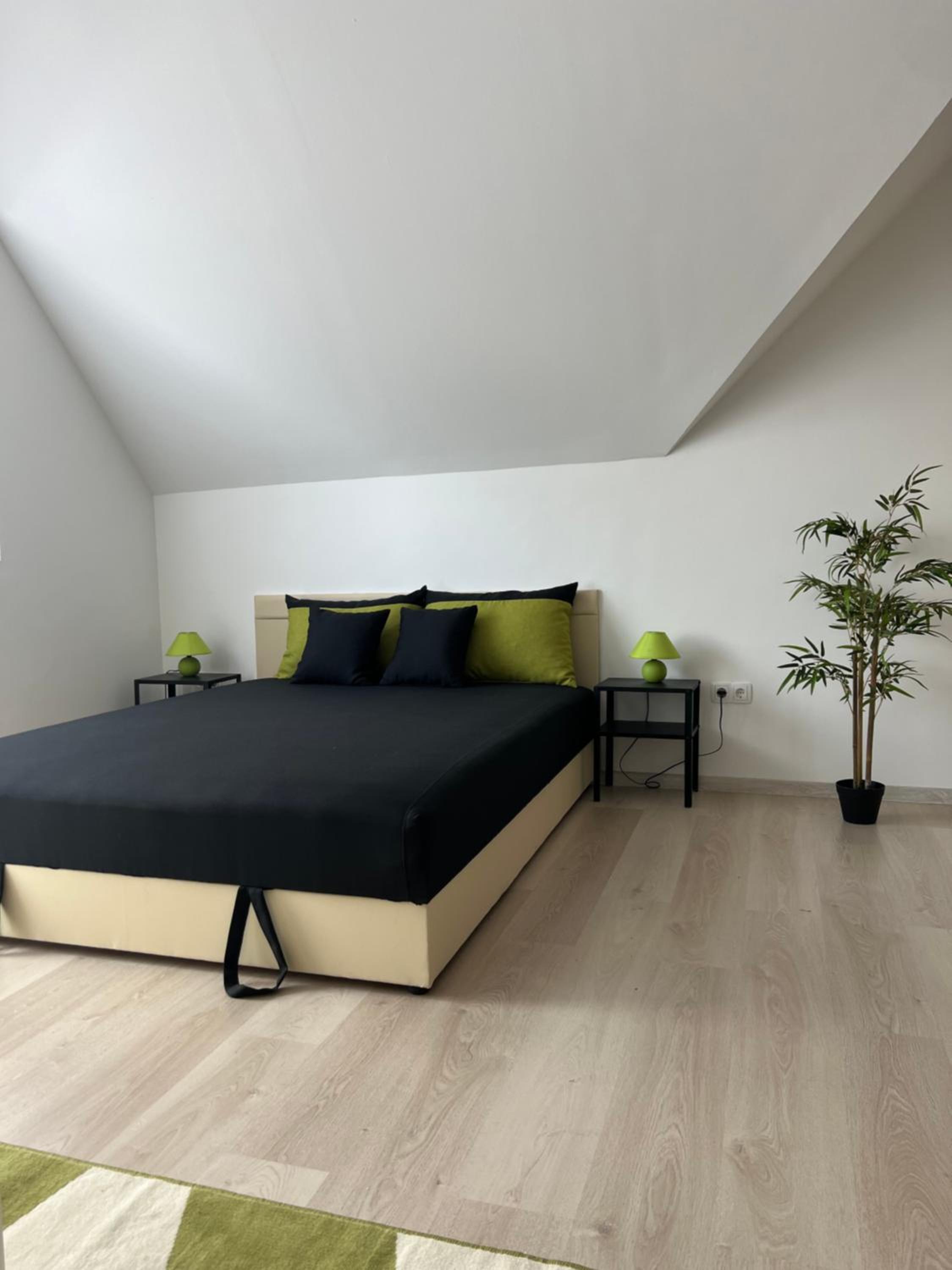 Apartment with Terrace photo 3