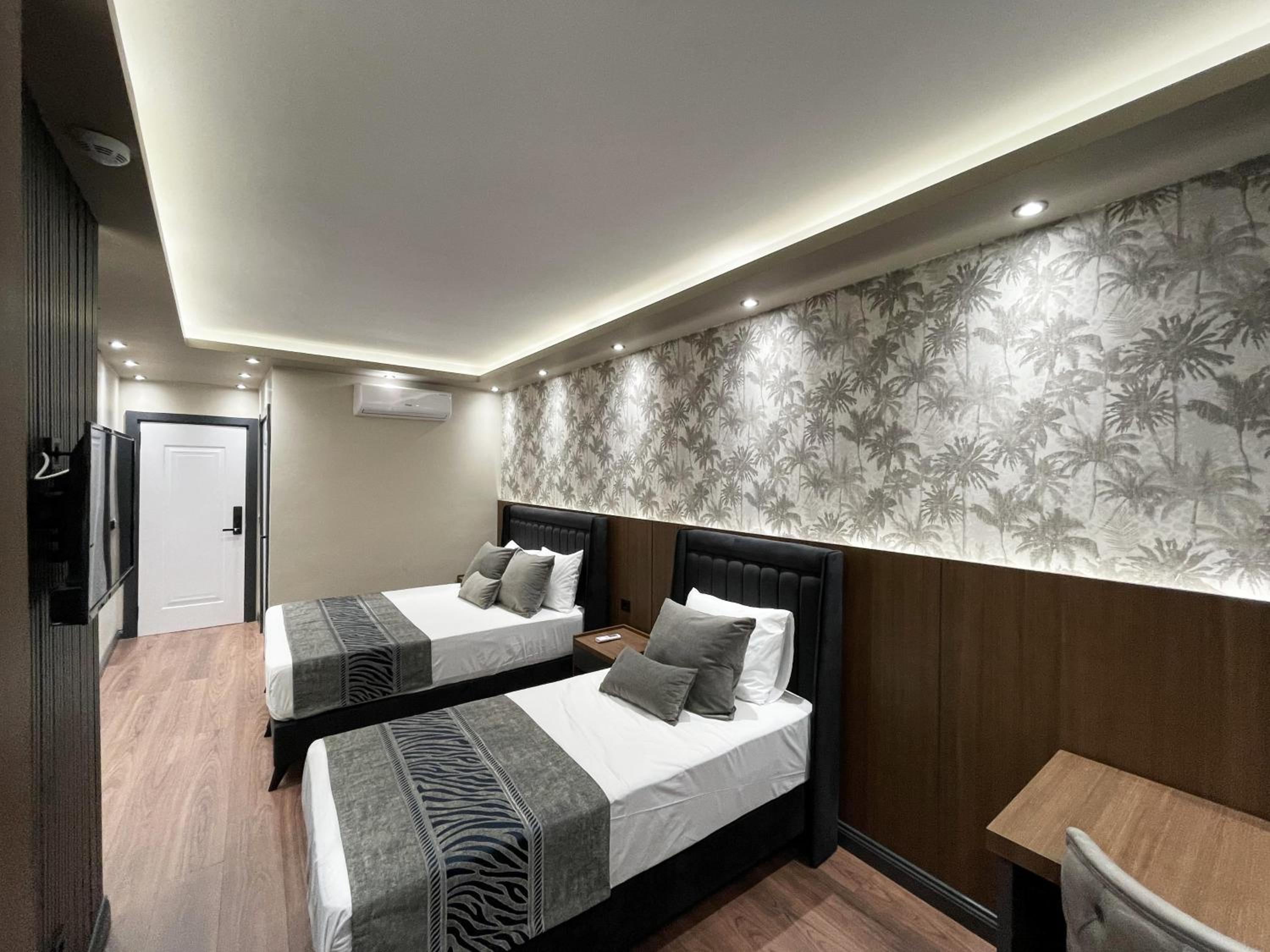 Deluxe Double or Twin Room photo 1