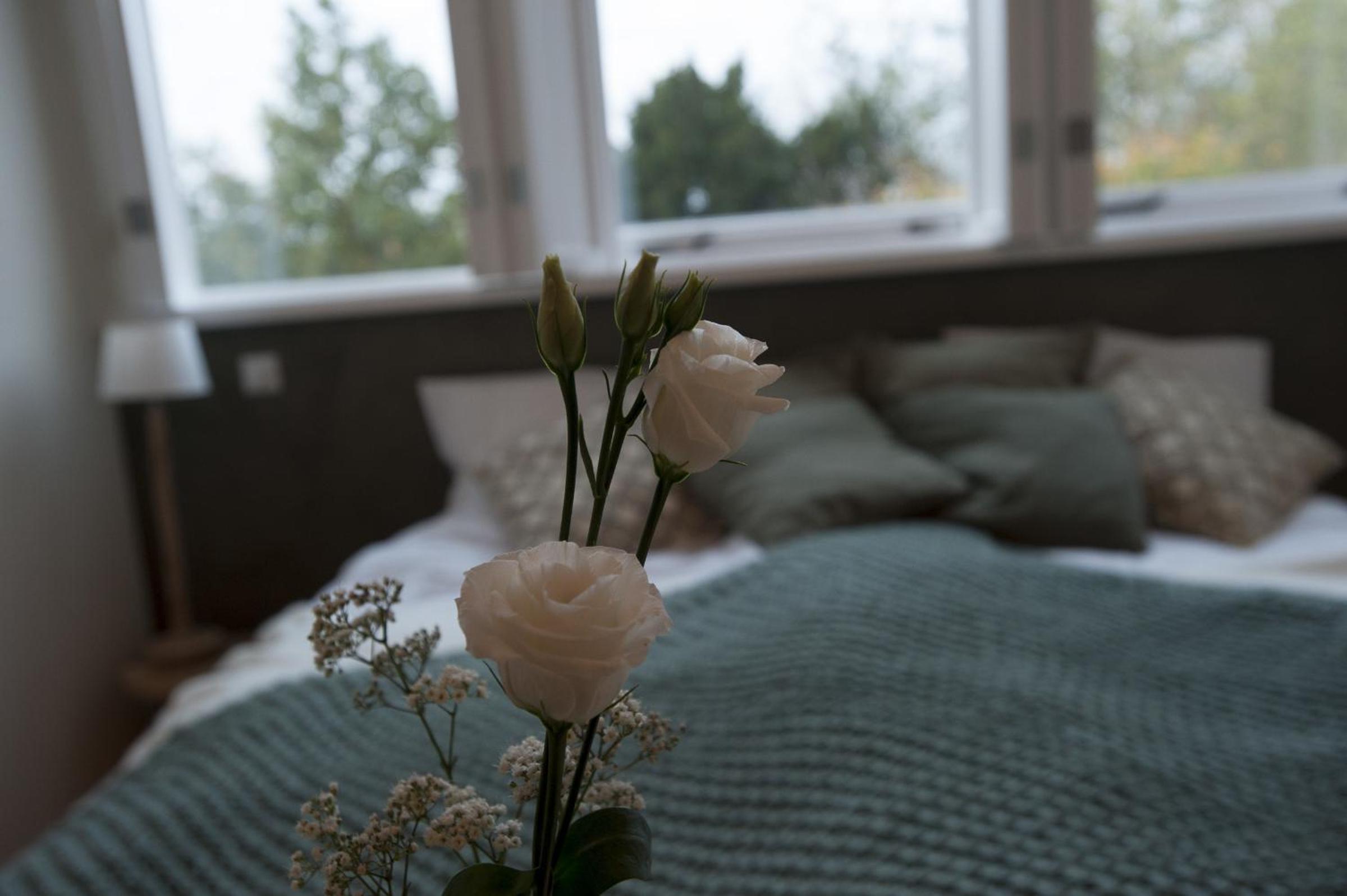 Double Room - Photo 2