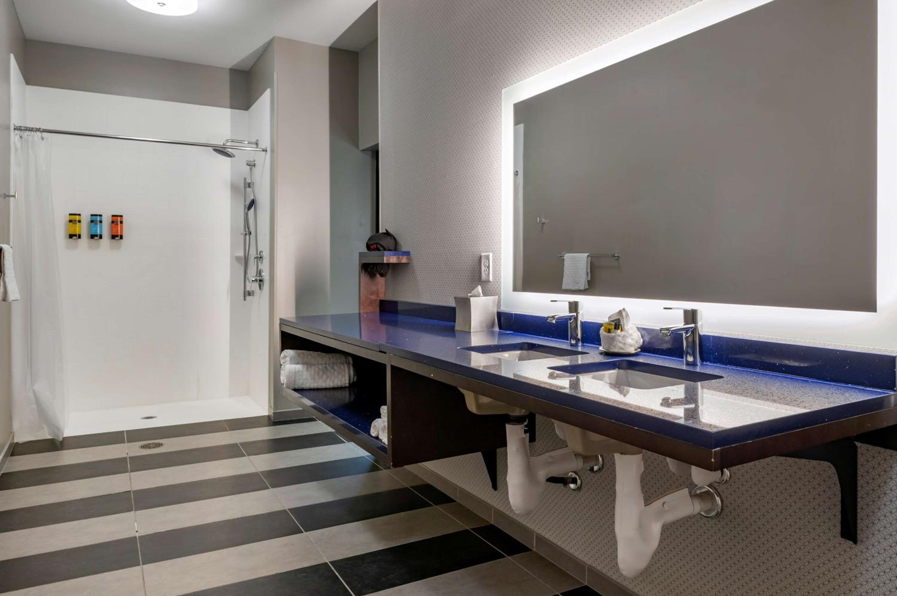 King Room with Walk-In Shower - Mobility Access - Photo 4