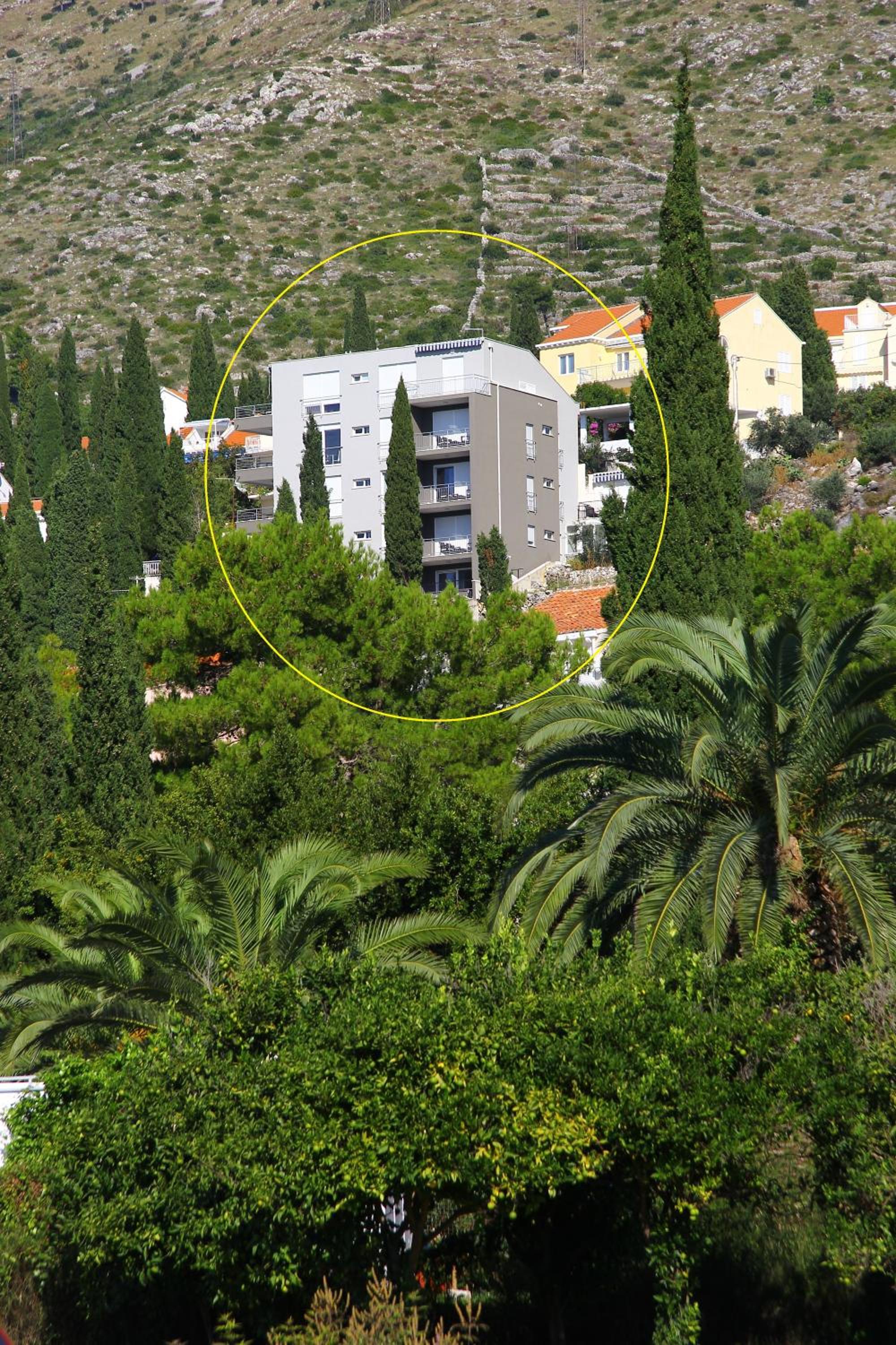Studio with Terrace and Sea View photo 2
