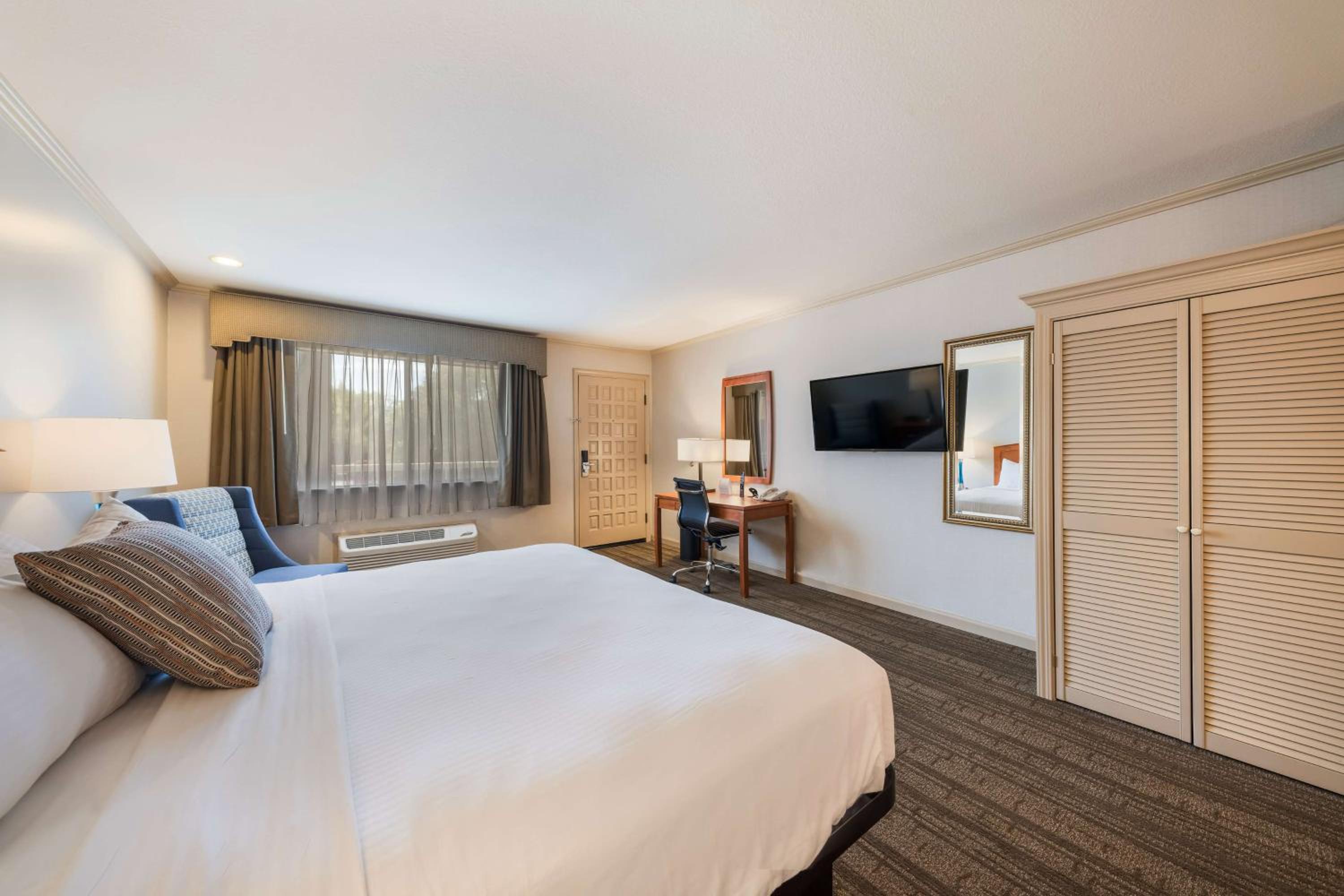 King Room photo 1