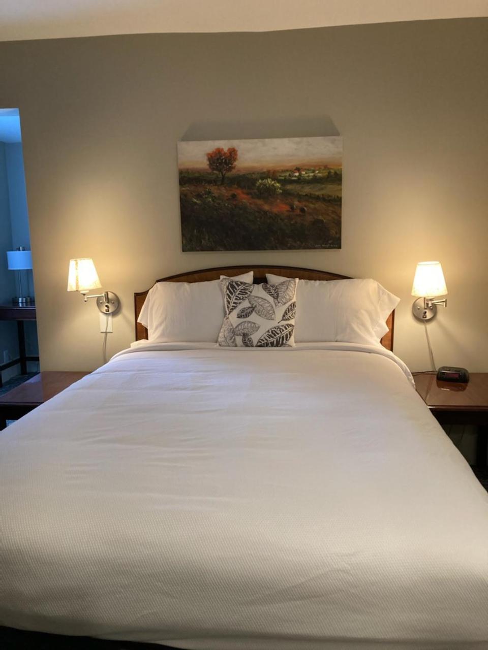 Deluxe Queen Room photo 1