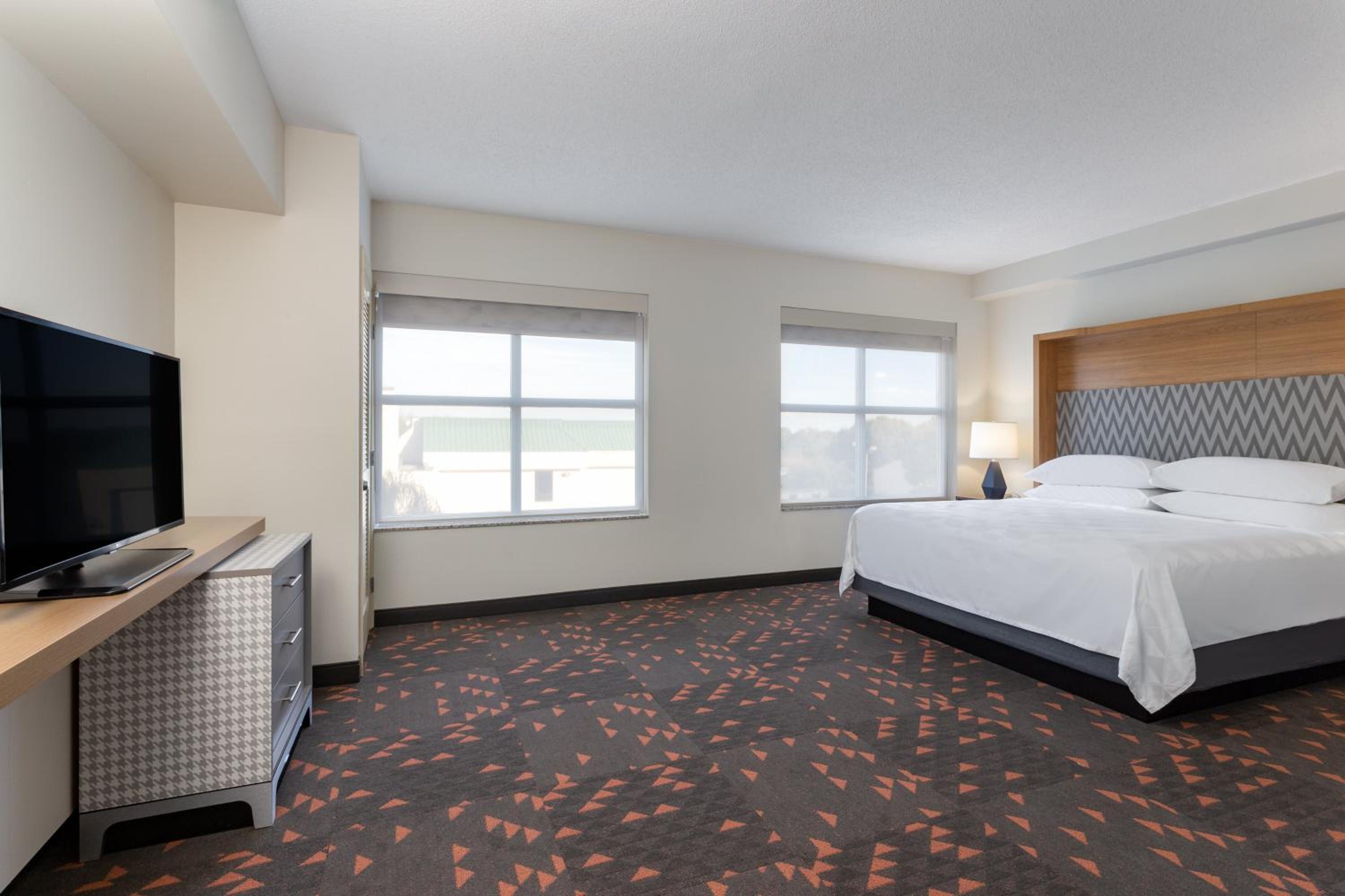 One-Bedroom Suite with Sofa Bed photo 3
