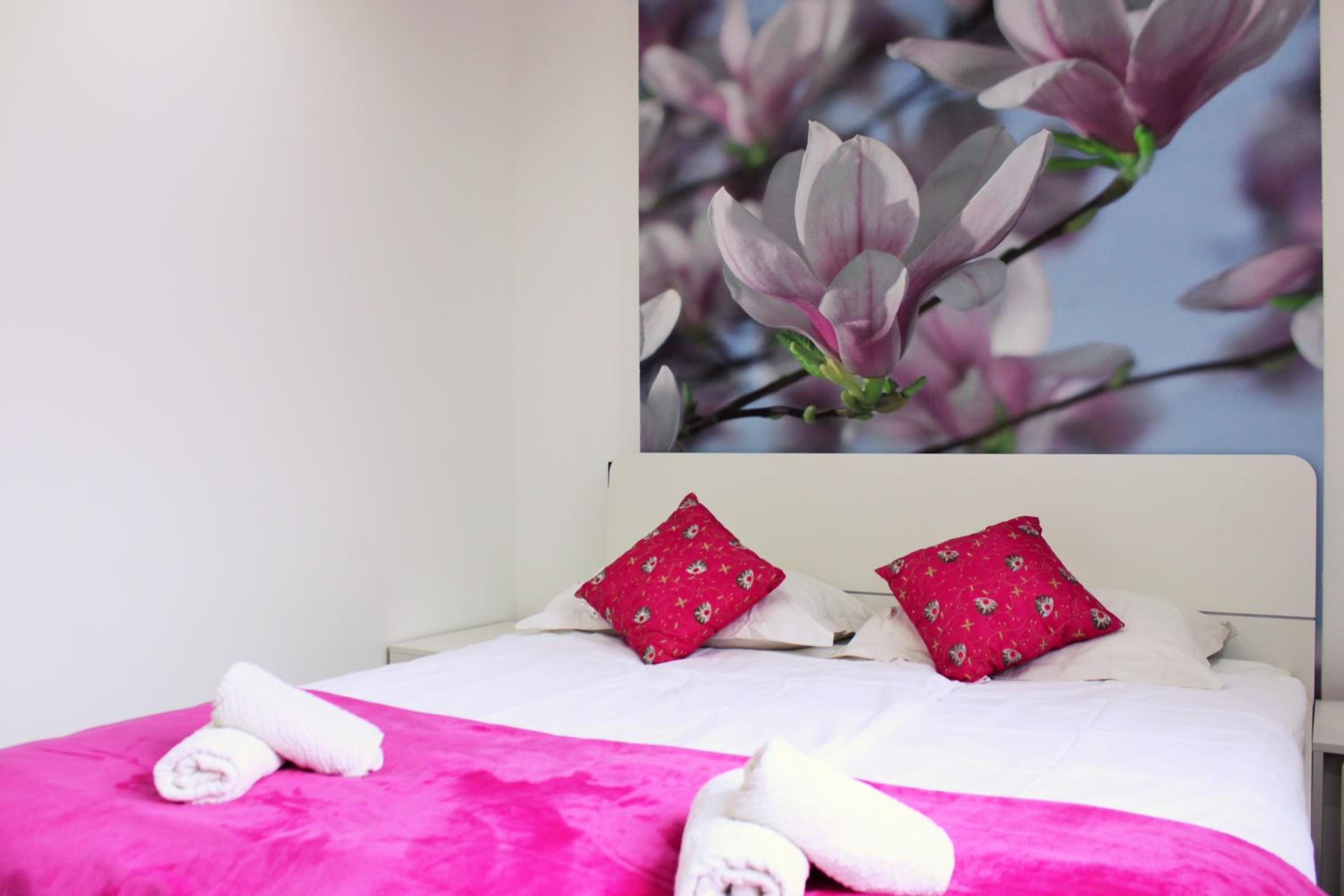 经典套房