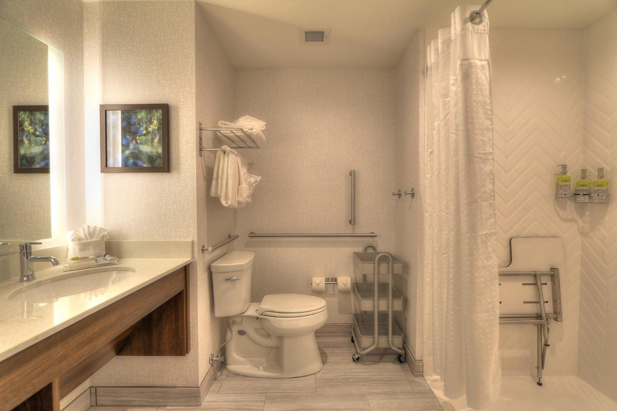 Premium King Room with Transfer Shower - Mobility Accessible - Photo 7