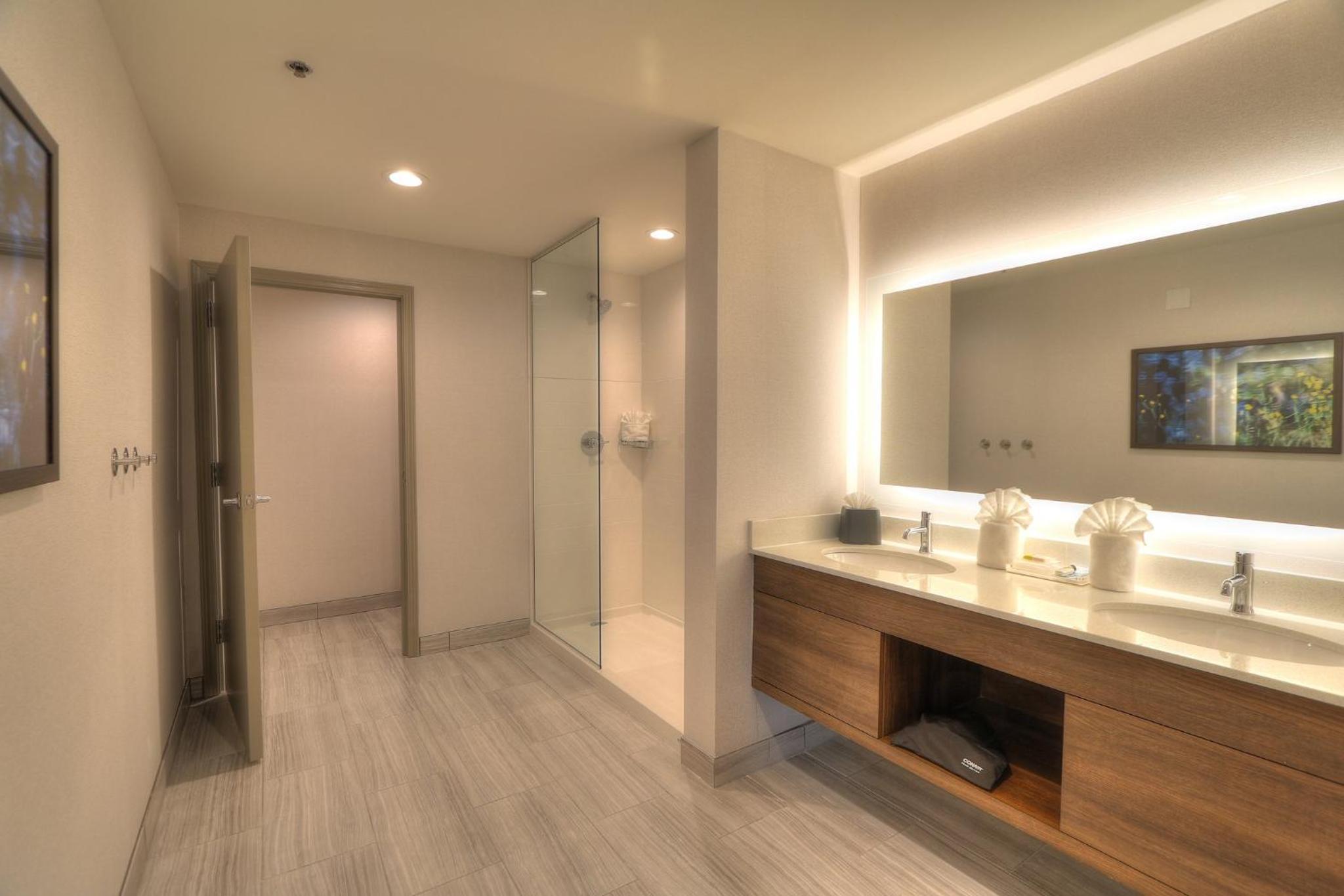 Queen Suite with Two Queen Beds Fireplace and Parkway Balcony - Photo 8