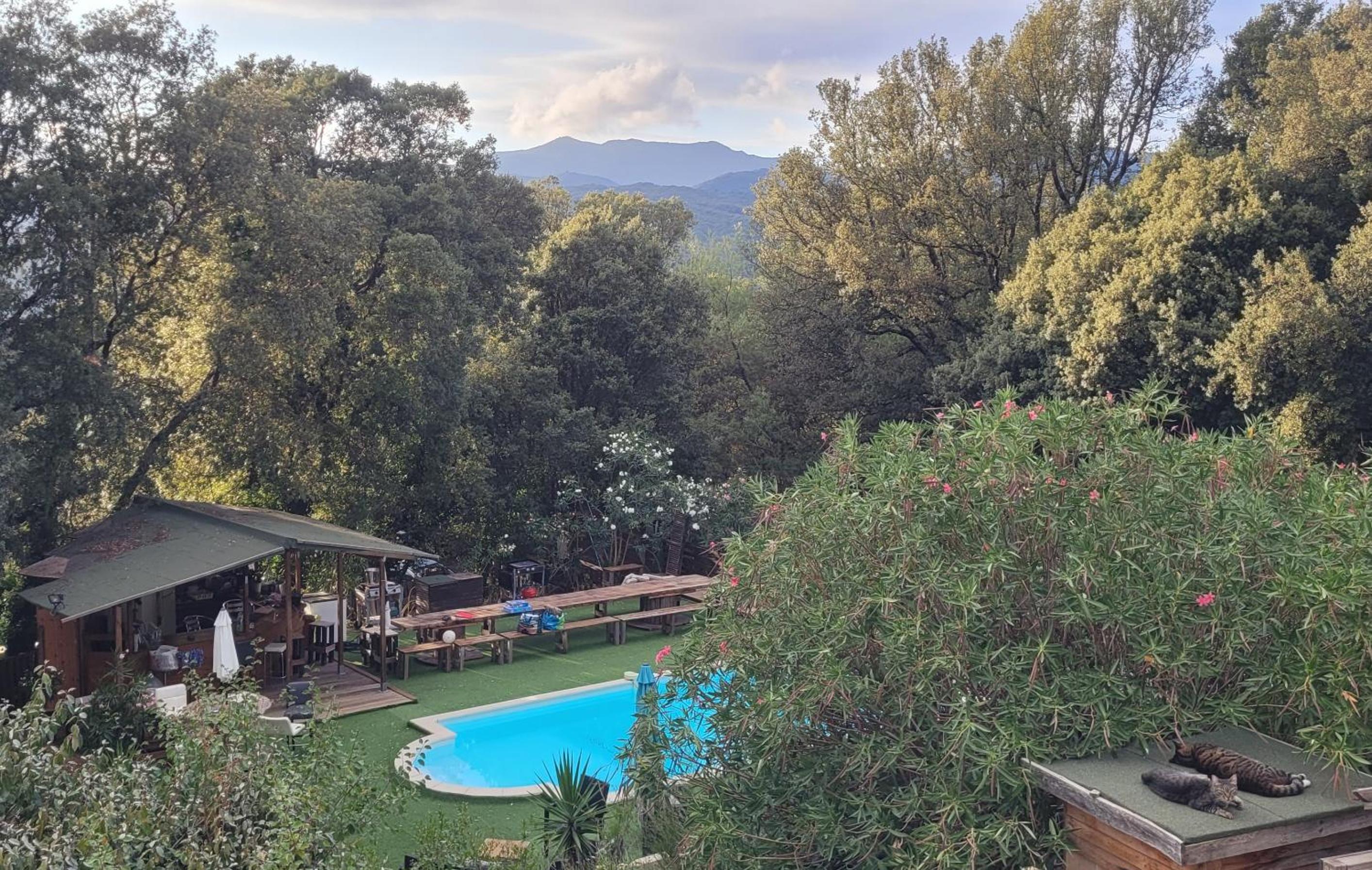Apartment with Pool View  photo 3