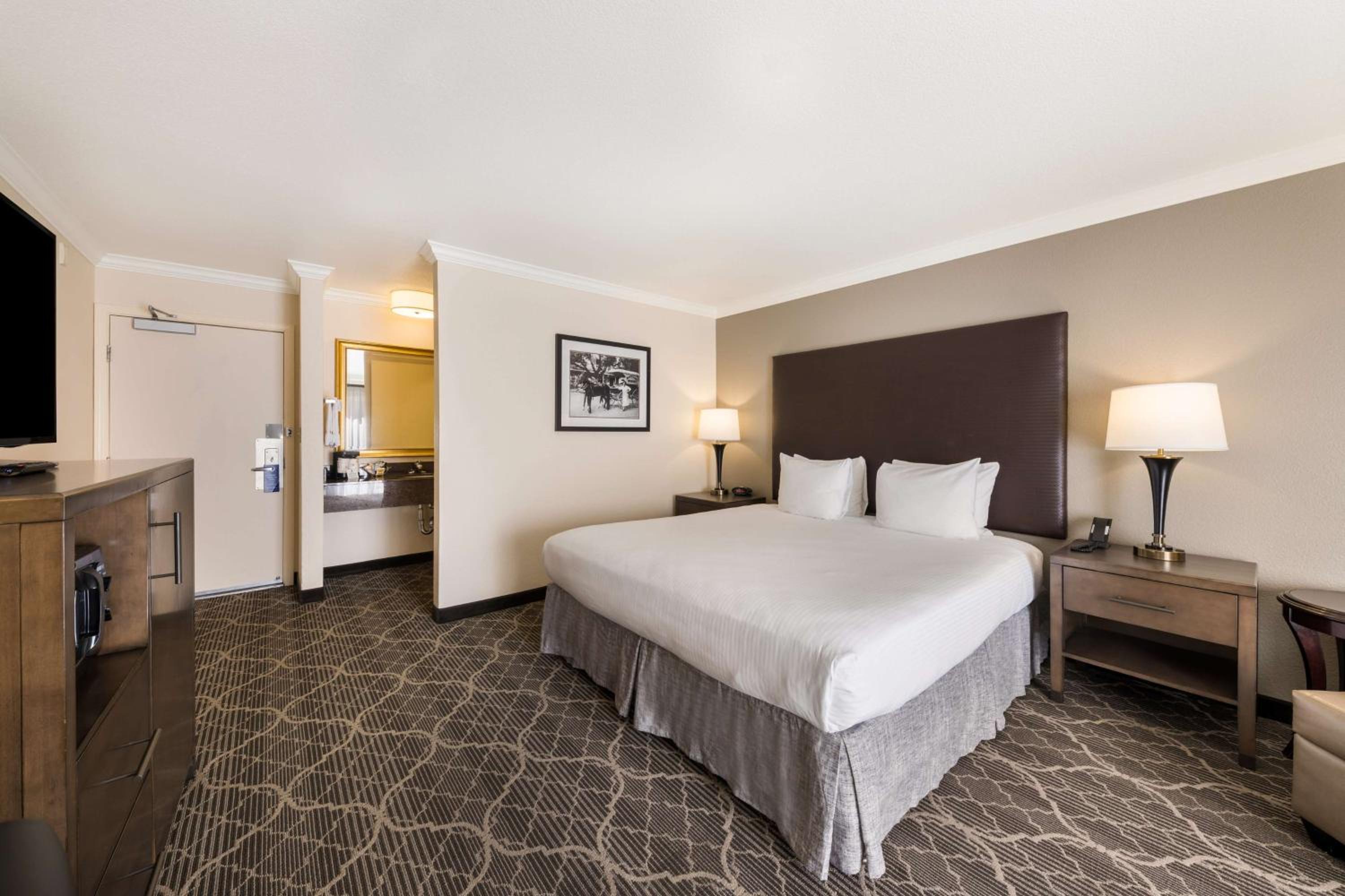 King Room with Patio - Photo 1