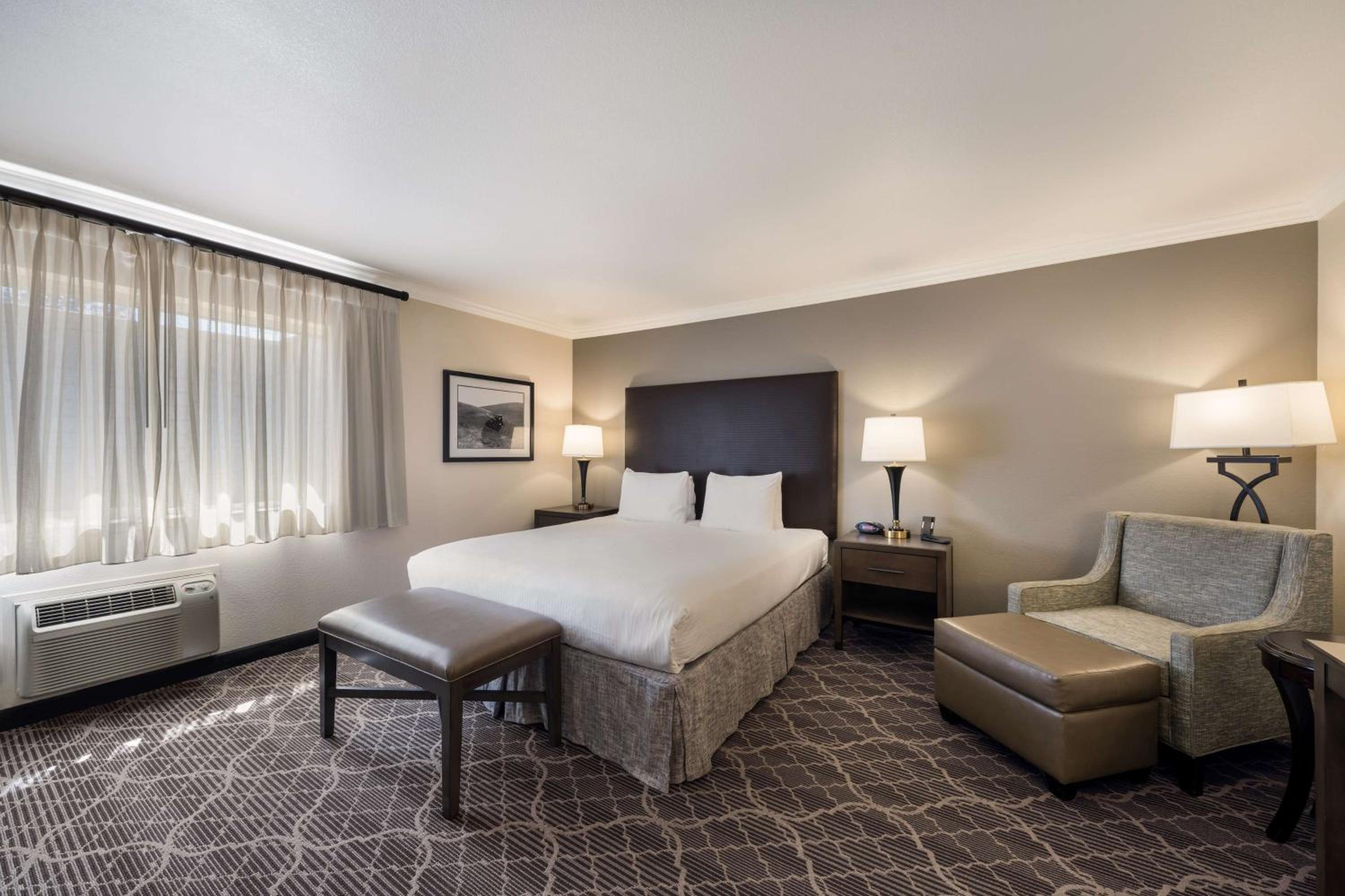 King Suite with Sofa Bed - Photo 1