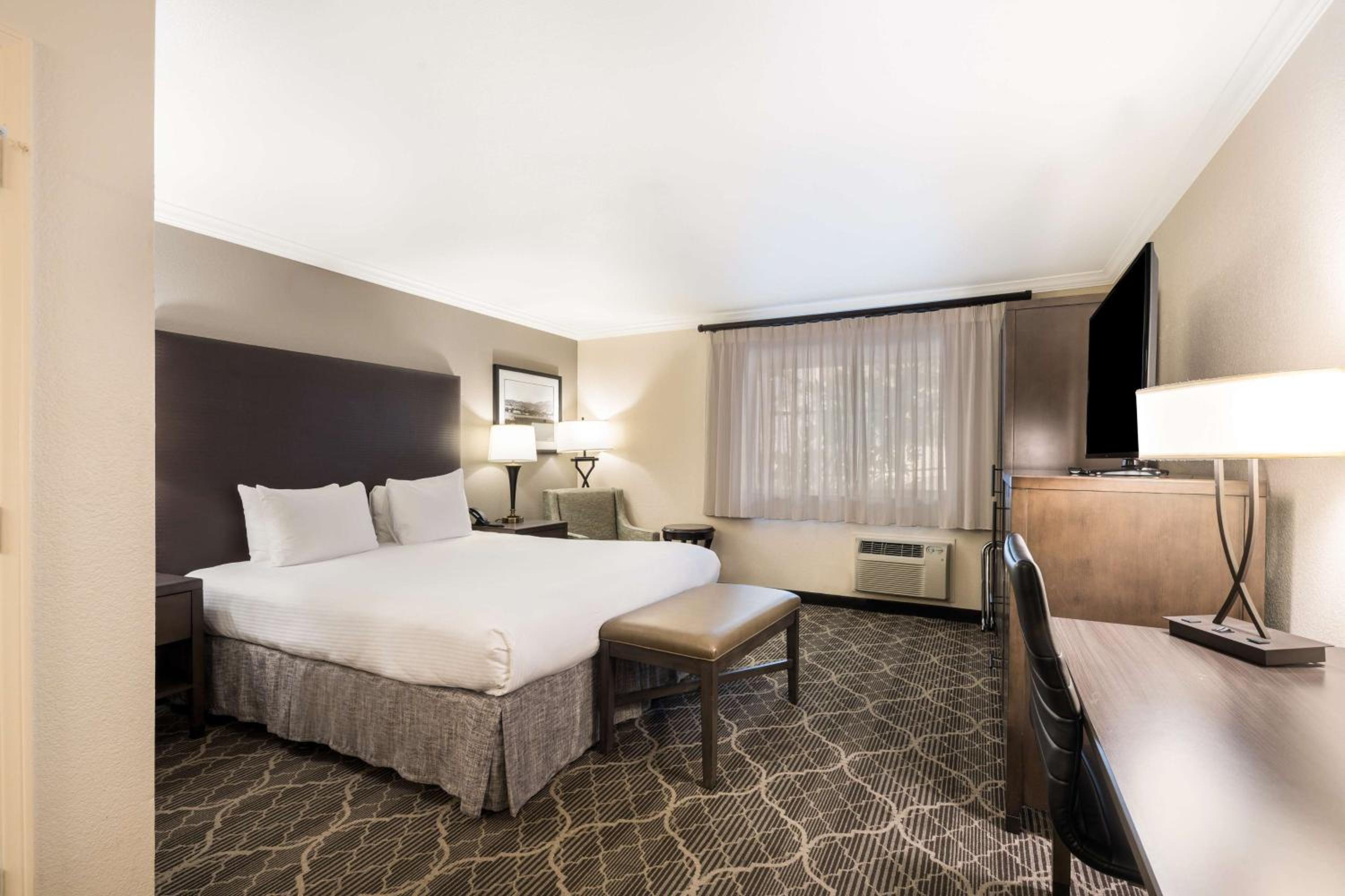 King Room - Pet Friendly/Non-Smoking - Photo 2