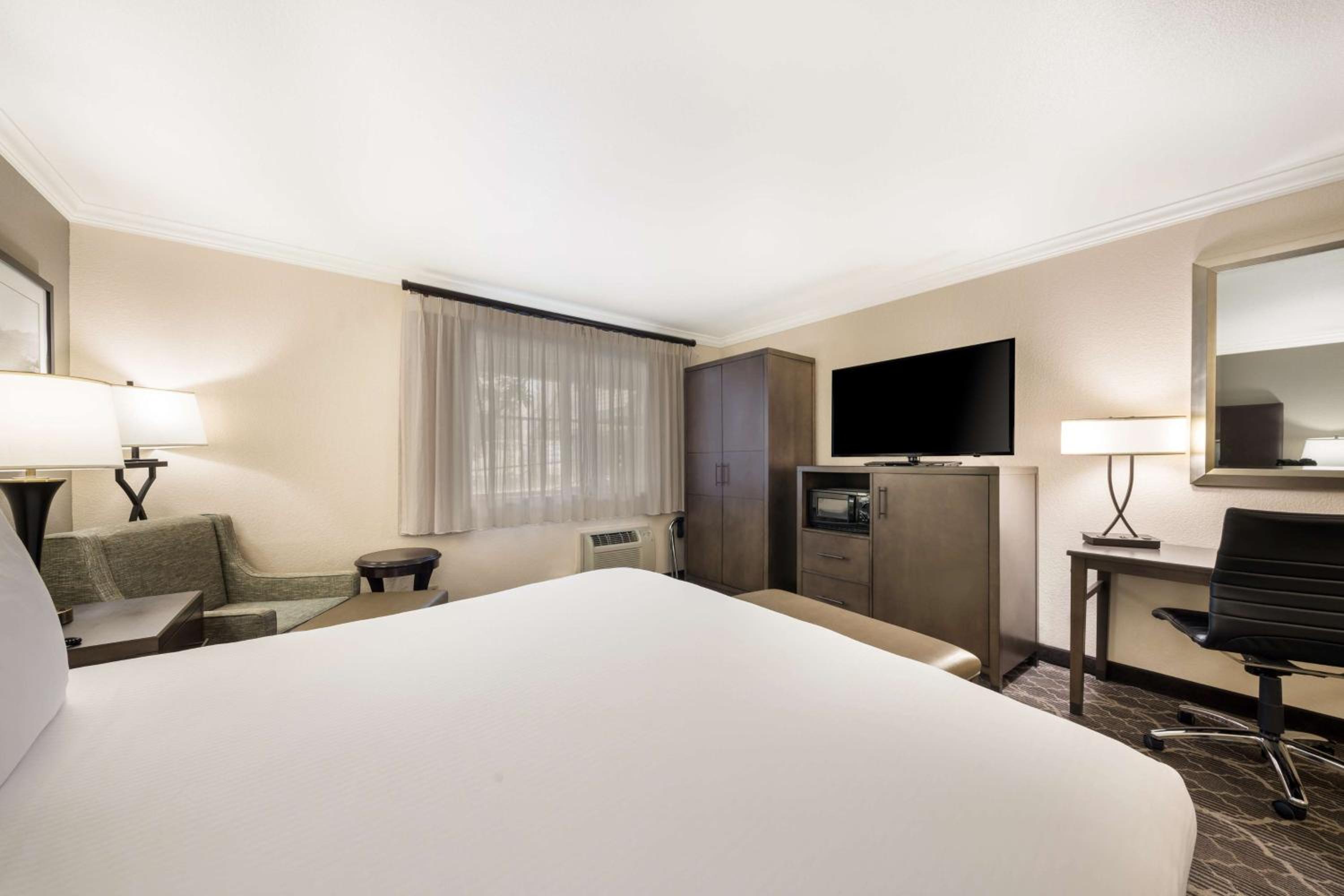 King Room - Pet Friendly/Non-Smoking - Photo 6