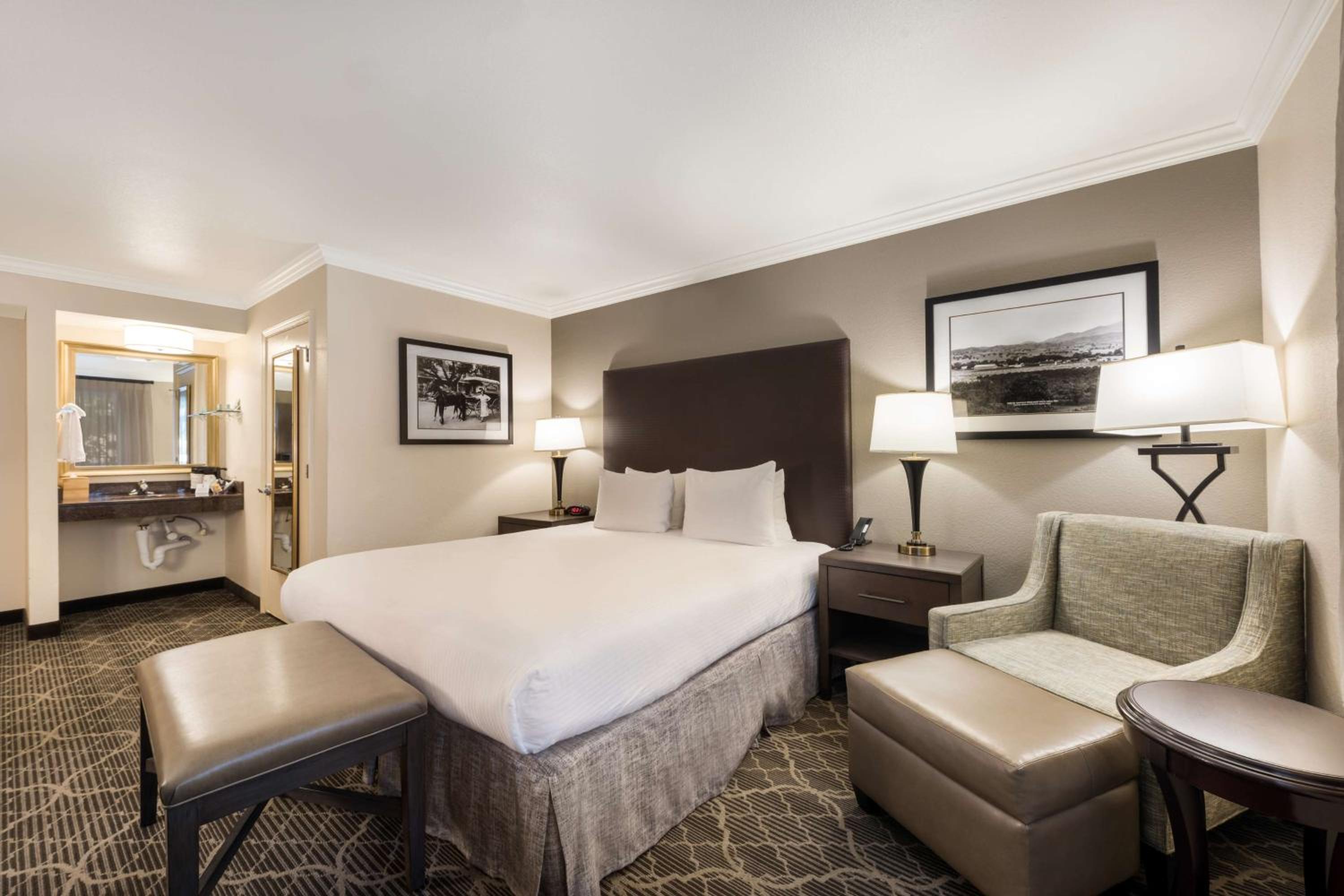 King Room - Pet Friendly/Non-Smoking - Photo 7