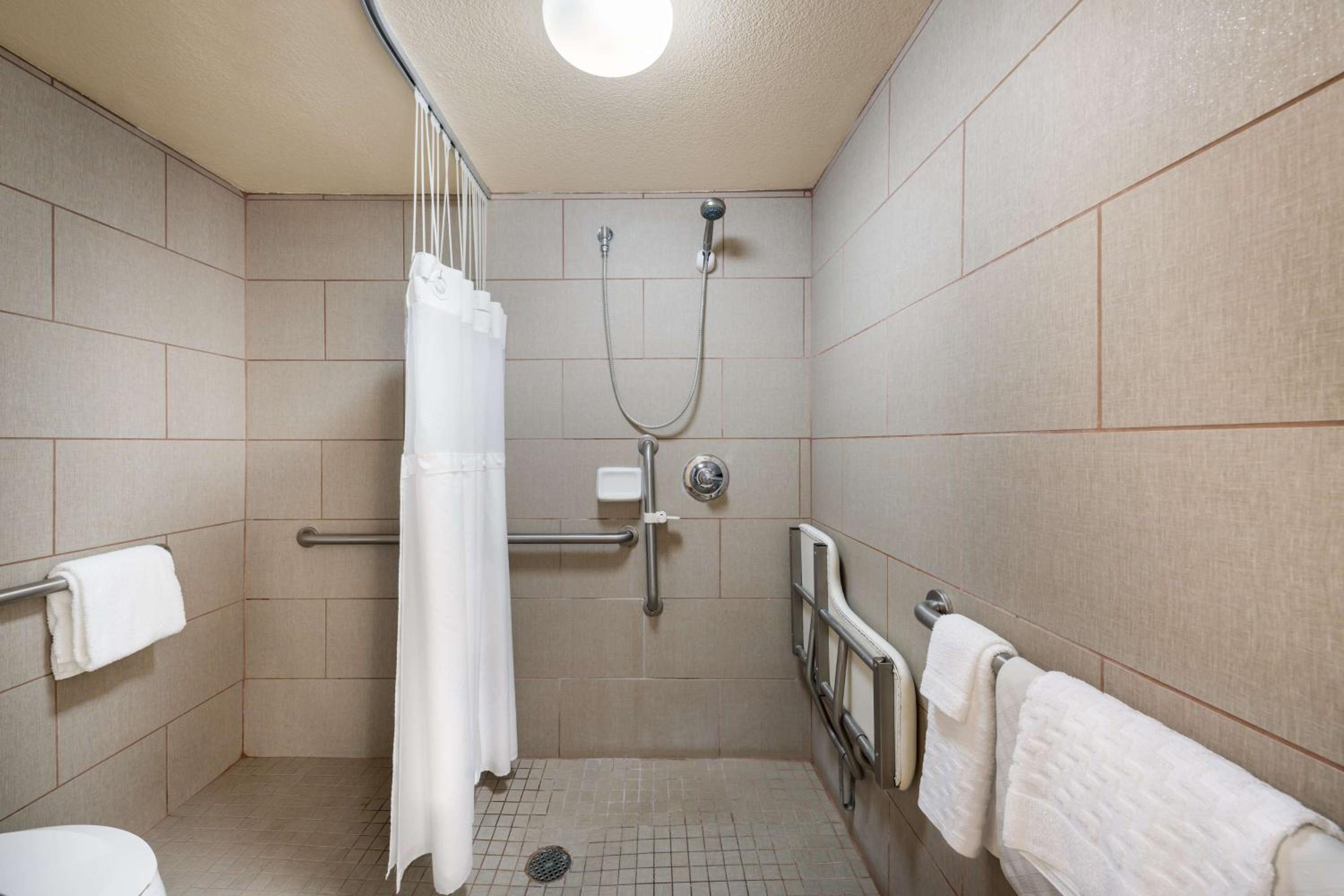 King Room - Pet Friendly/Non-Smoking - Photo 5