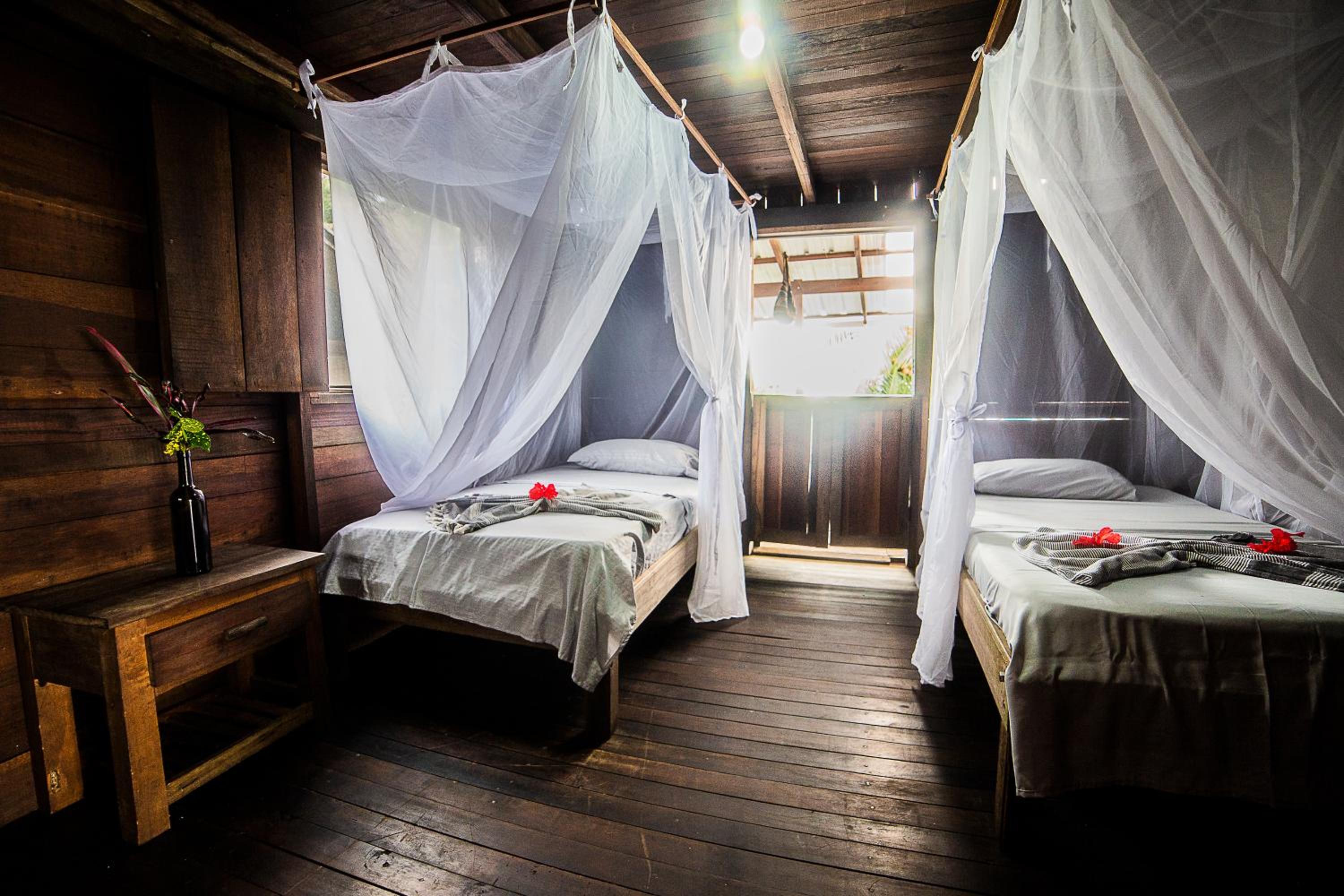 Twin Room photo 1