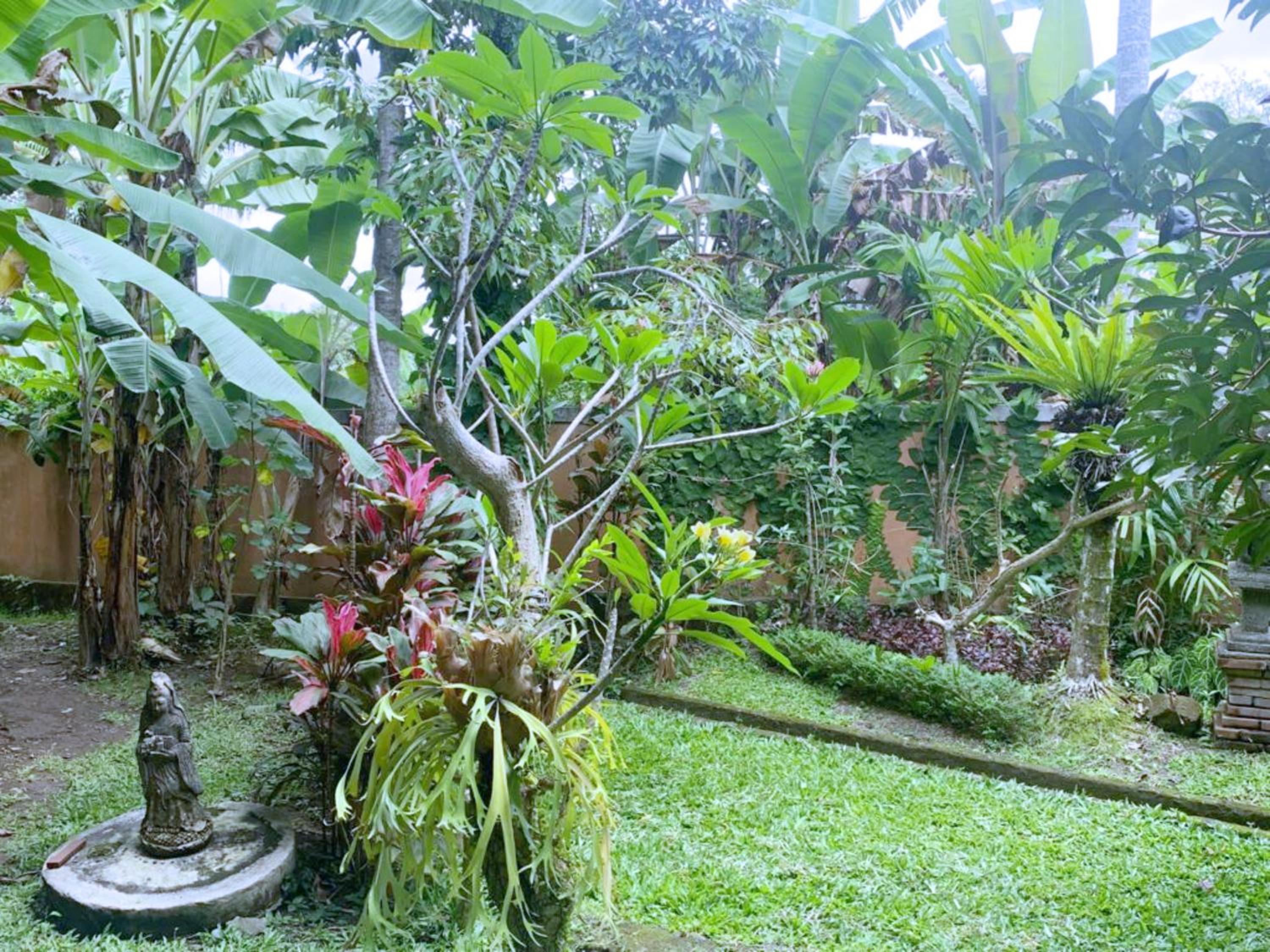 Basic Triple Room - Photo 15