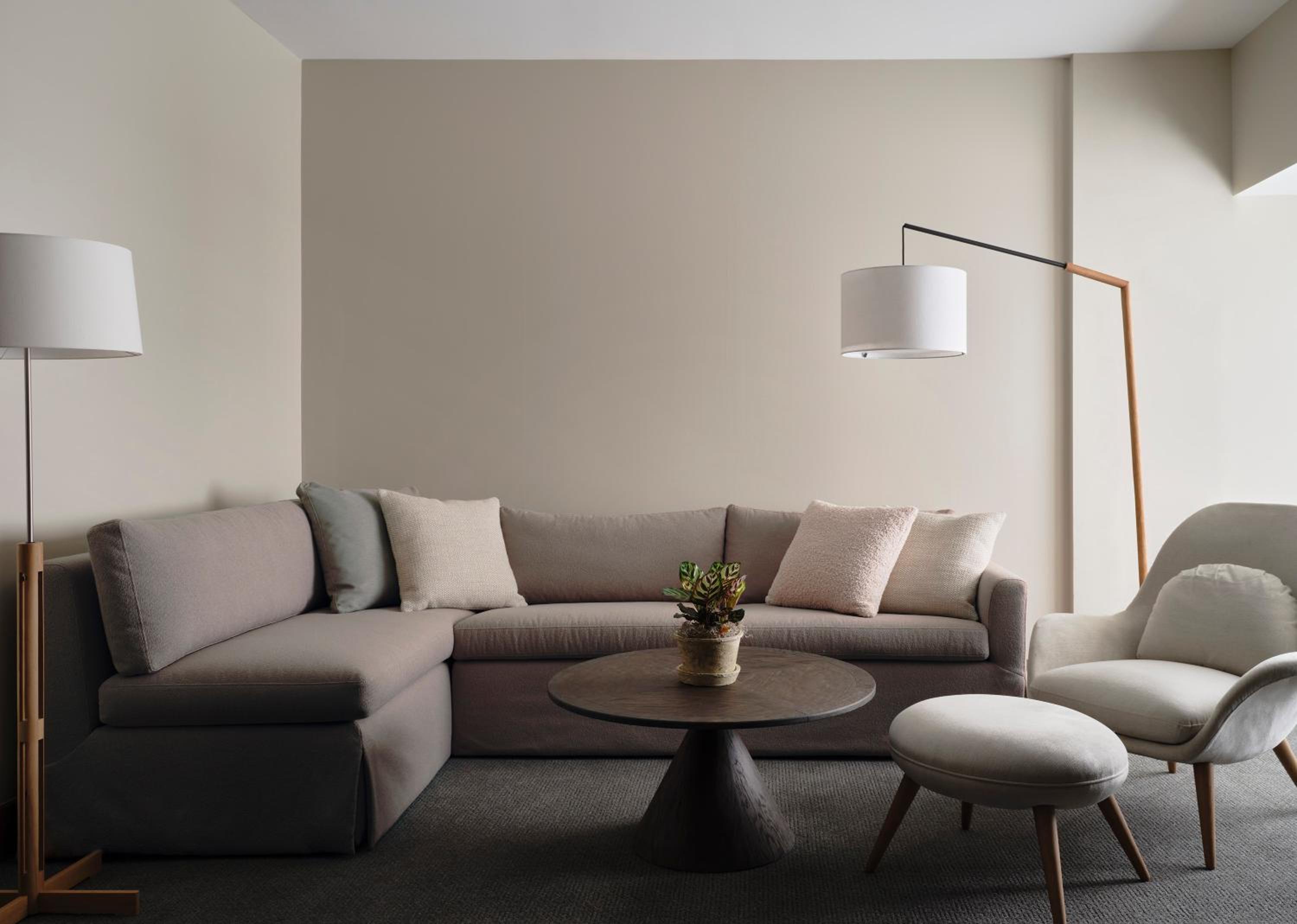 Alcove Studio Suite - Photo 6