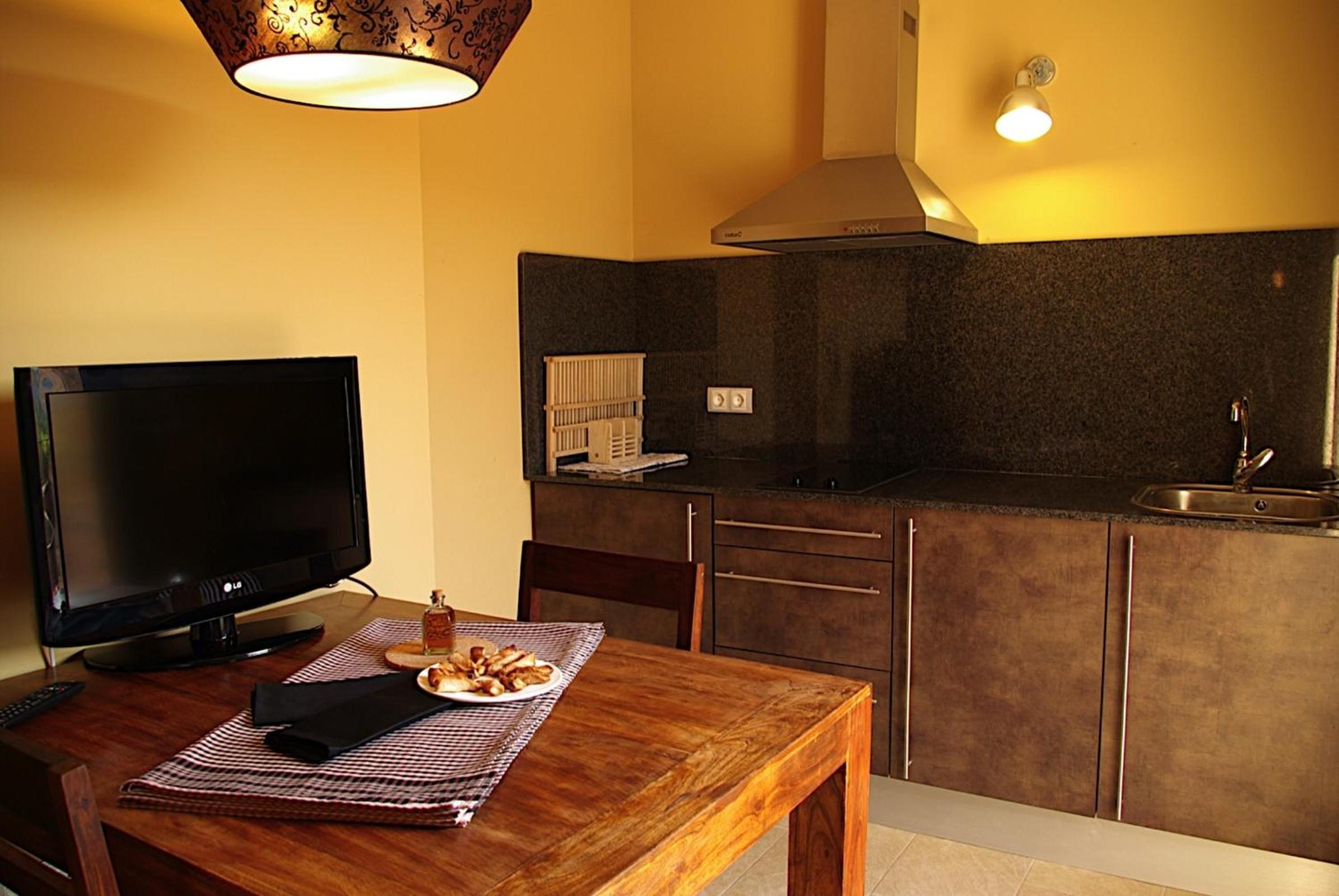 One-Bedroom Apartment with Terrace photo 2