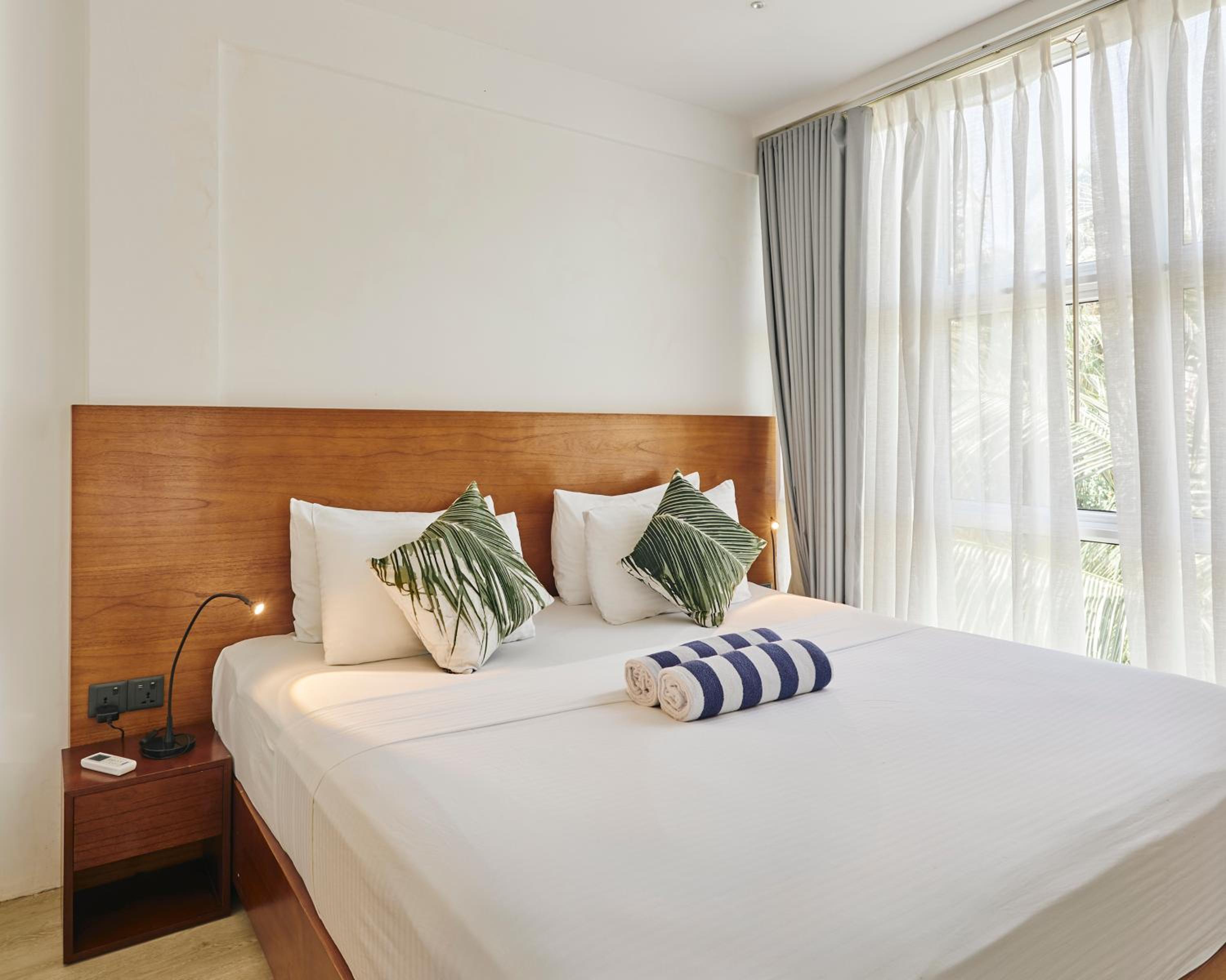 Suite - Photo 1