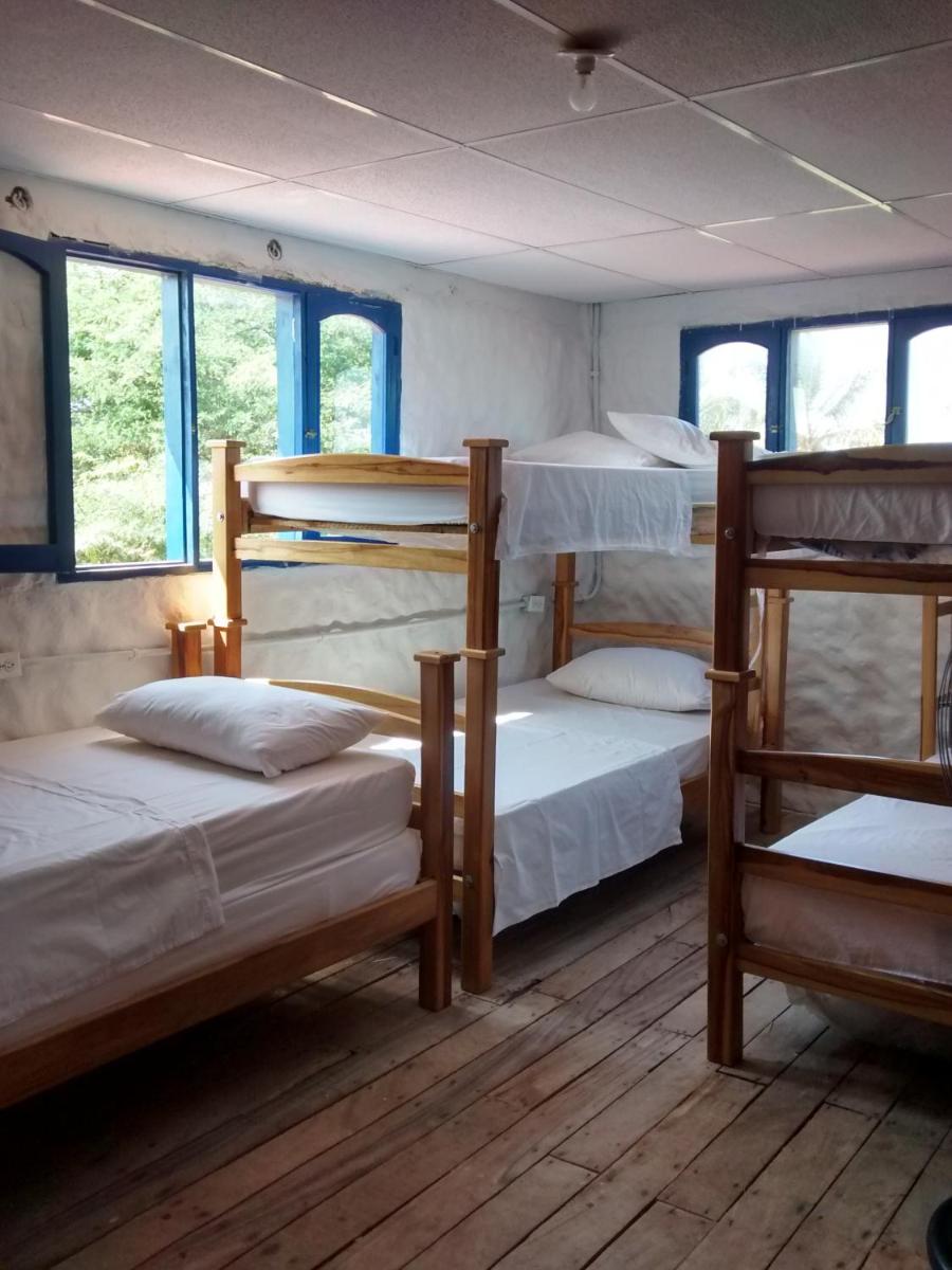 6-Bed Mixed Dormitory Room photo 1