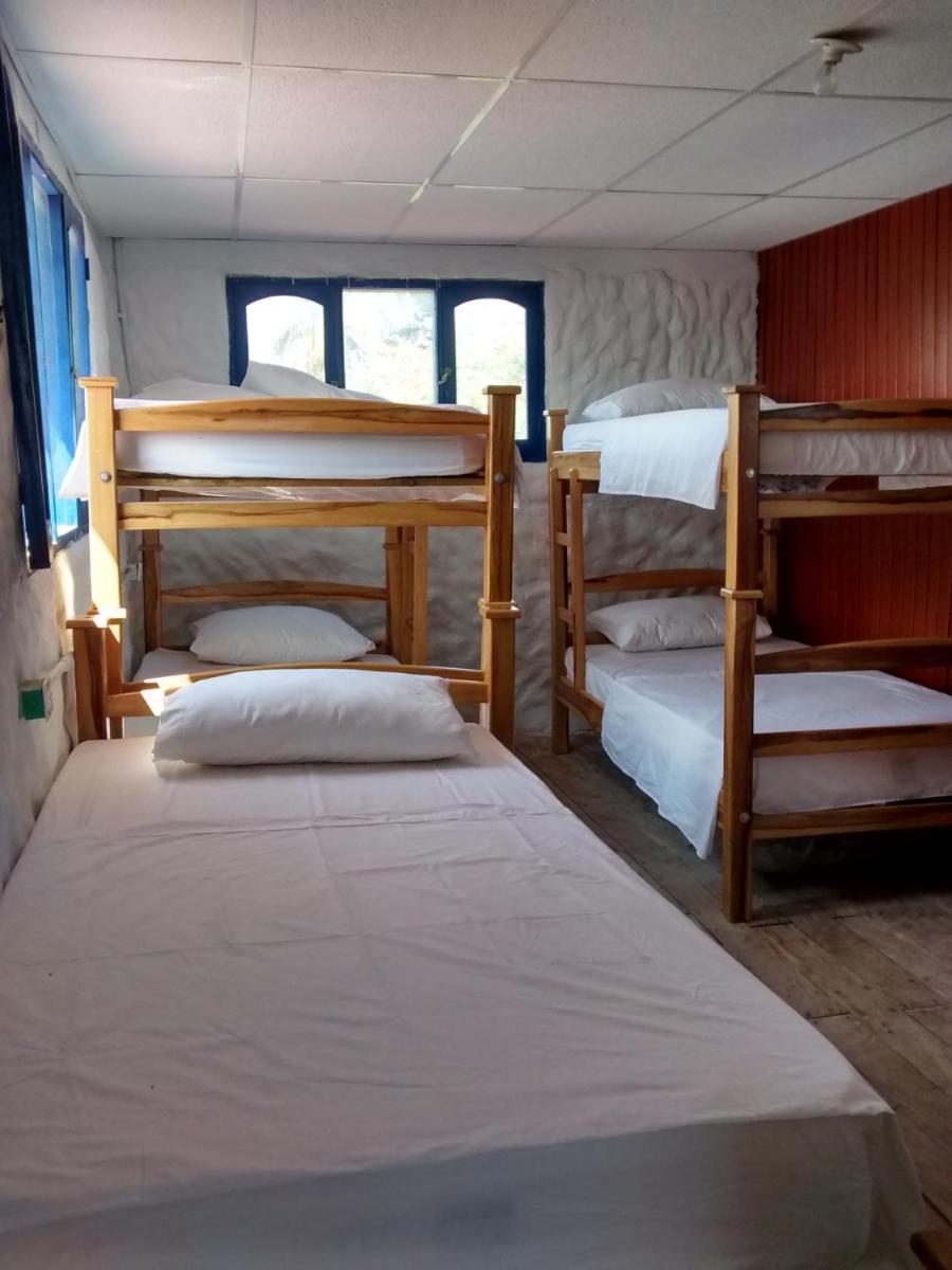 6-Bed Mixed Dormitory Room photo 3
