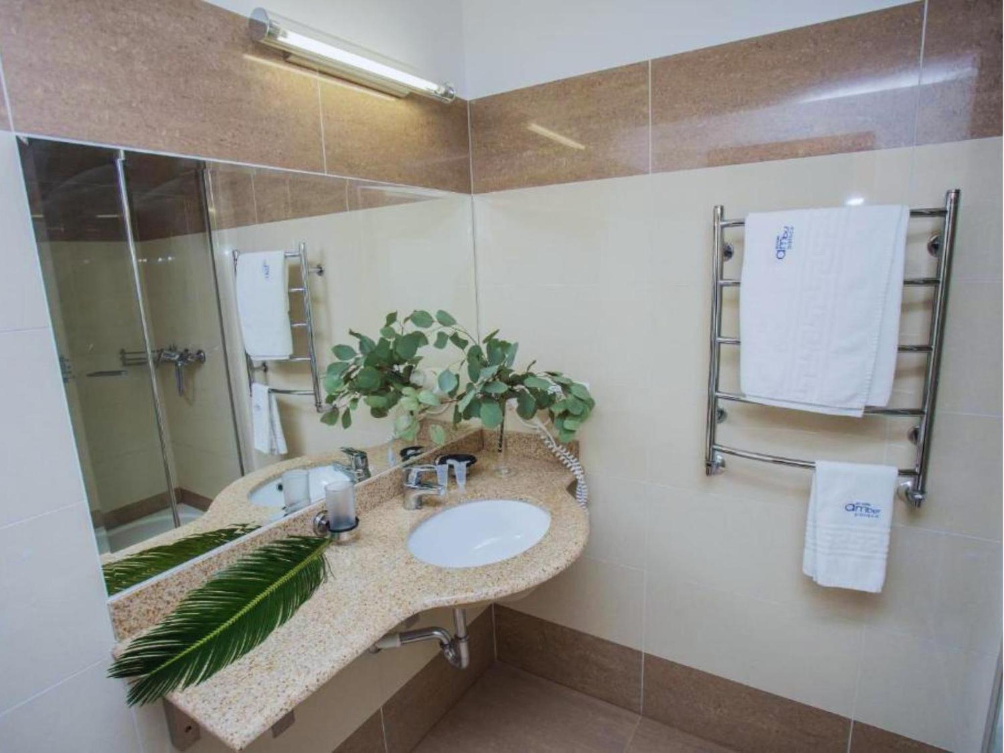 Large Double or Twin Room